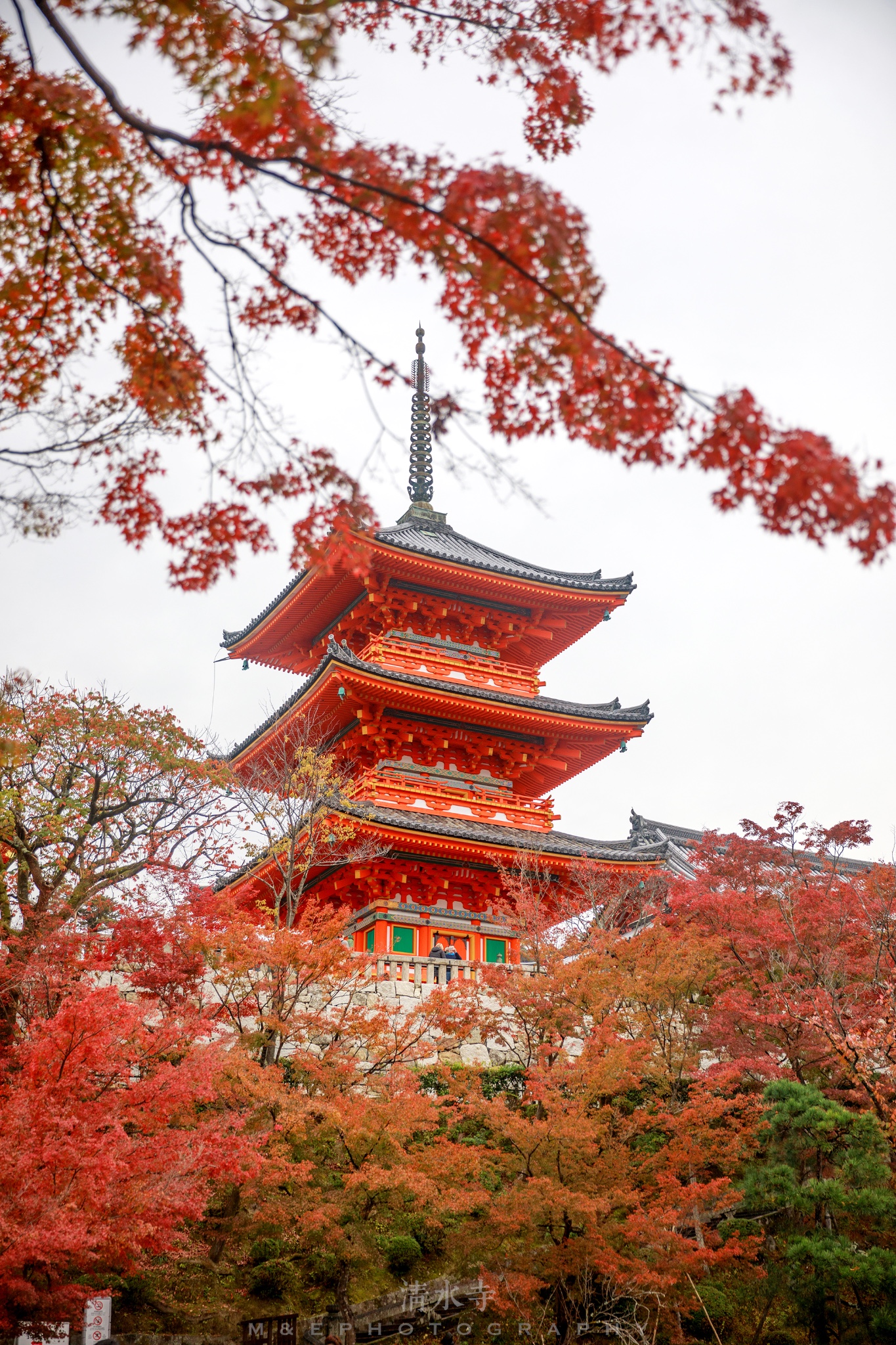 京都自助遊攻略