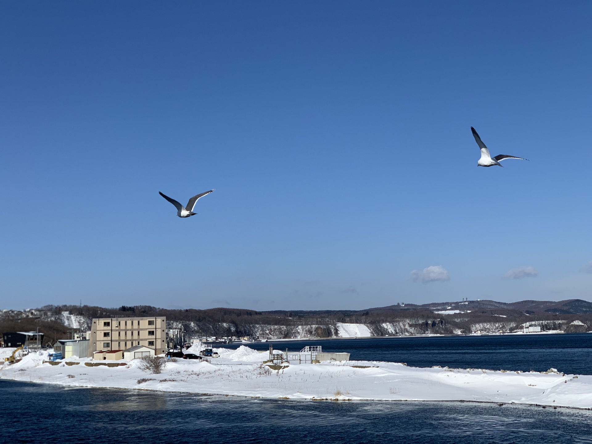 北海道自助遊攻略