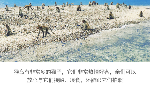 高分点评 曼谷芭提雅 无人岛三岛豪华双体游艇