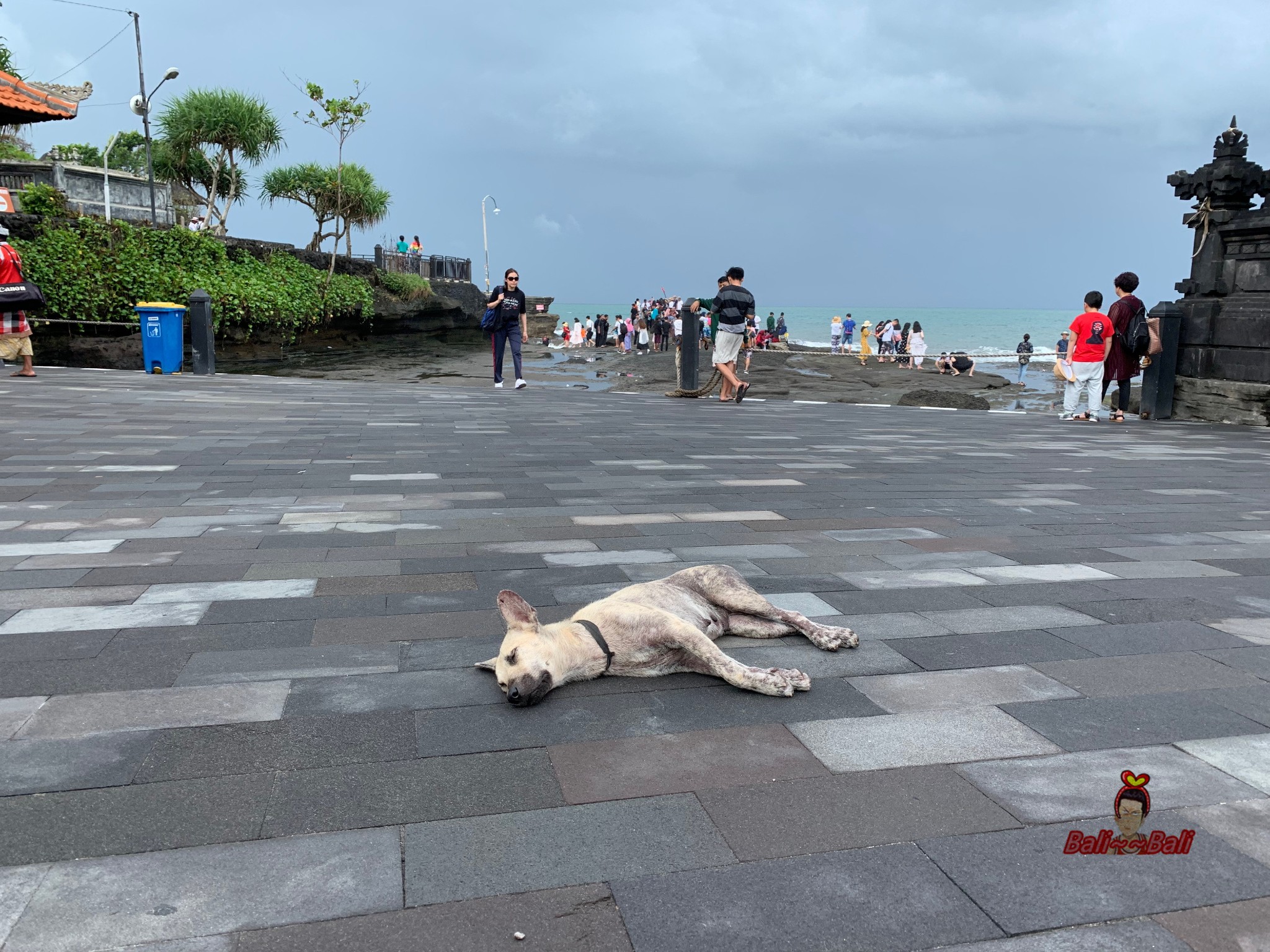 巴釐島自助遊攻略