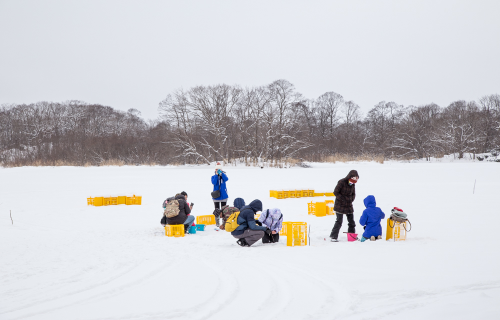 北海道自助遊攻略