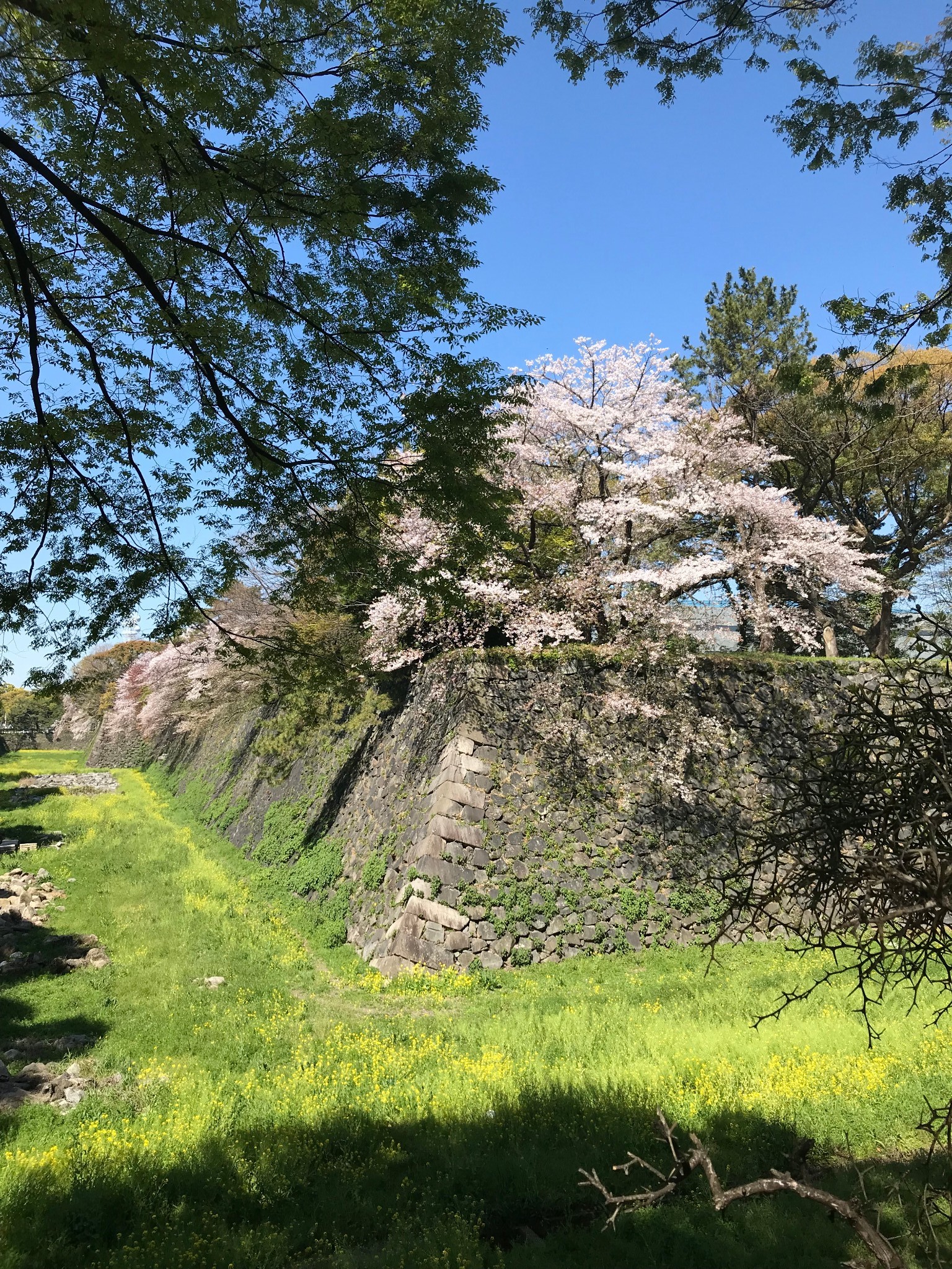 名古屋自助遊攻略