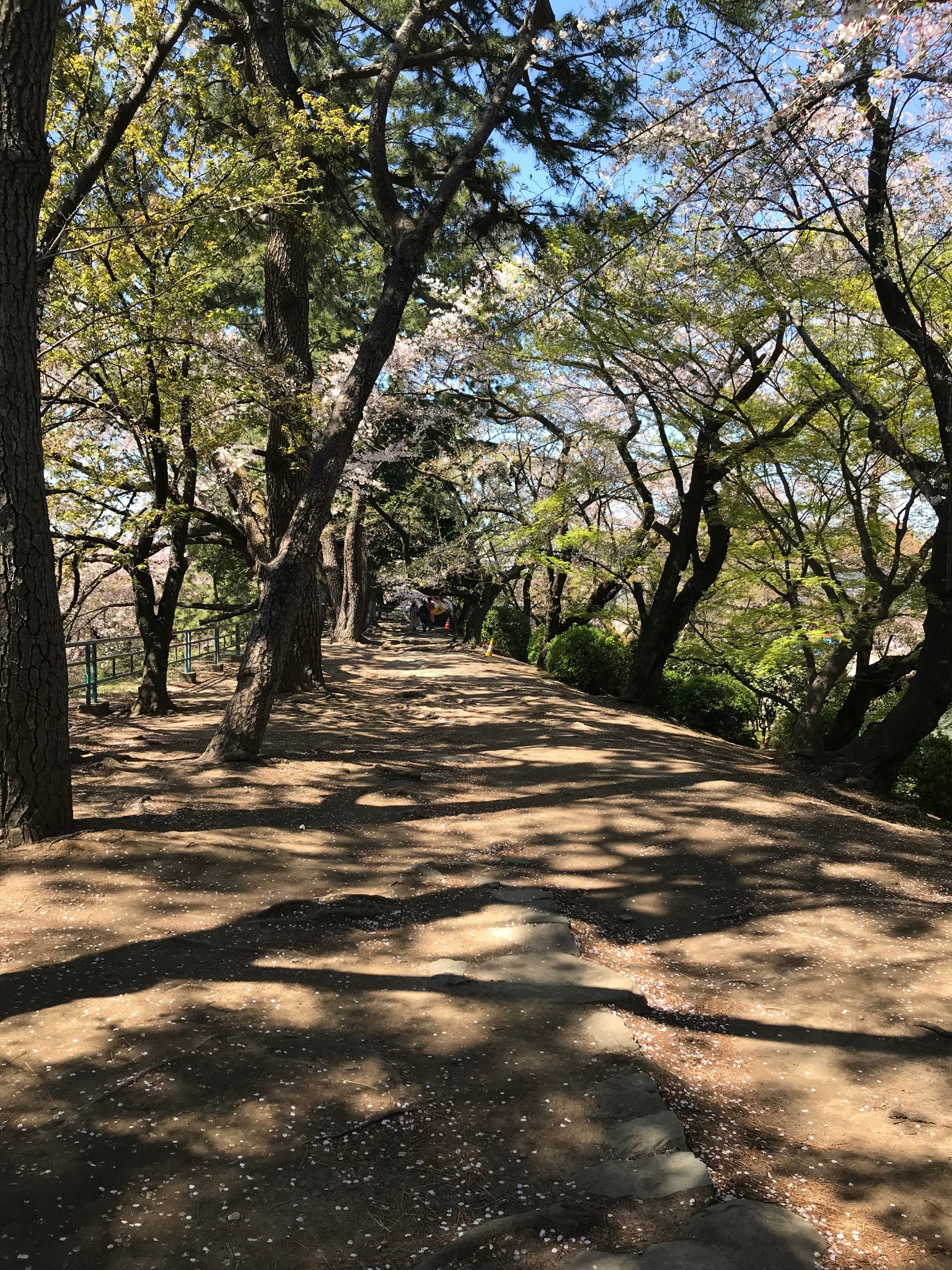 名古屋自助遊攻略