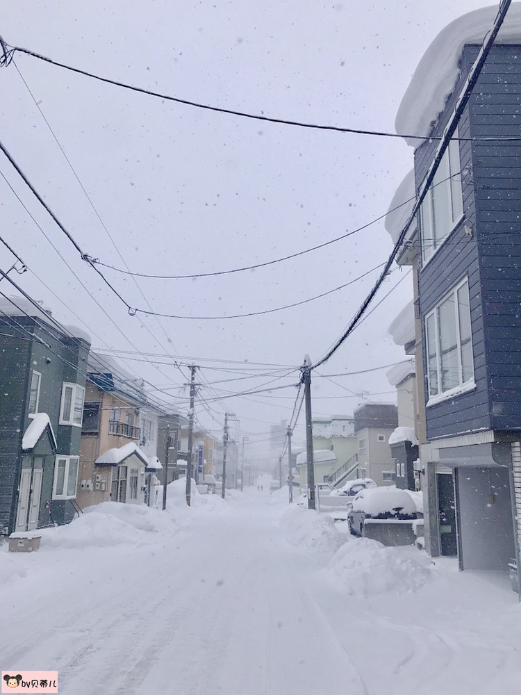 北海道自助遊攻略