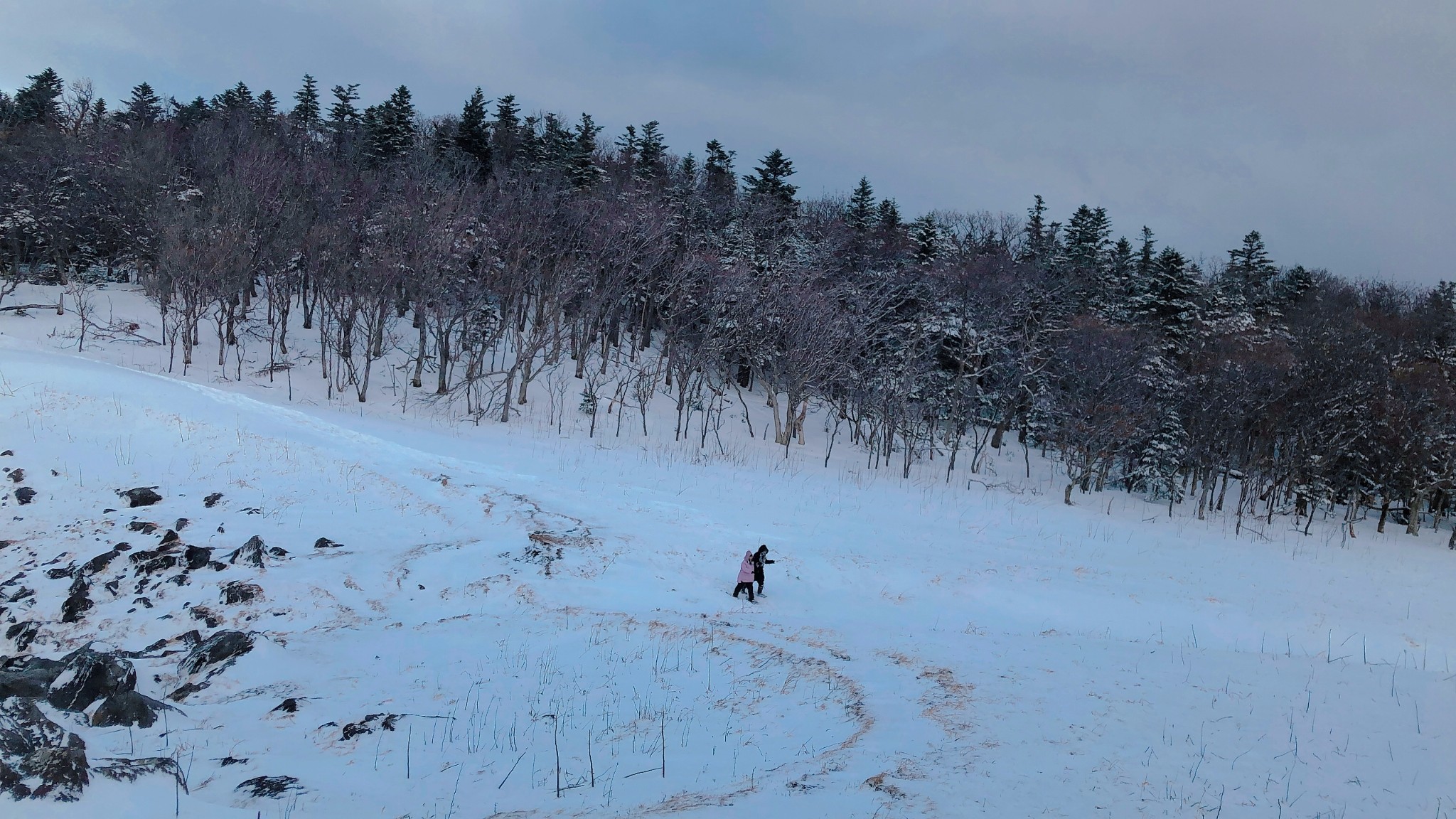 北海道自助遊攻略