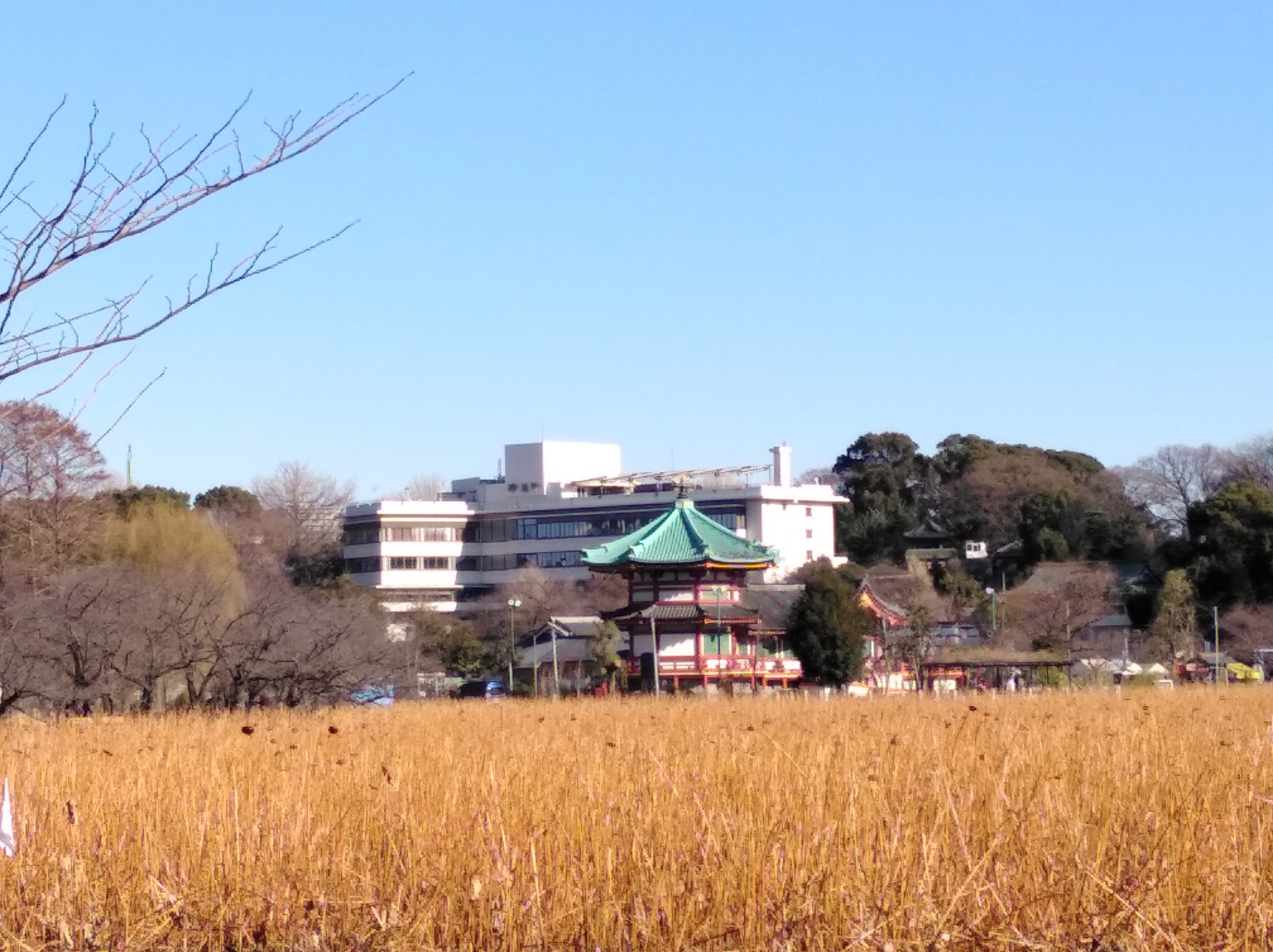 東京自助遊攻略