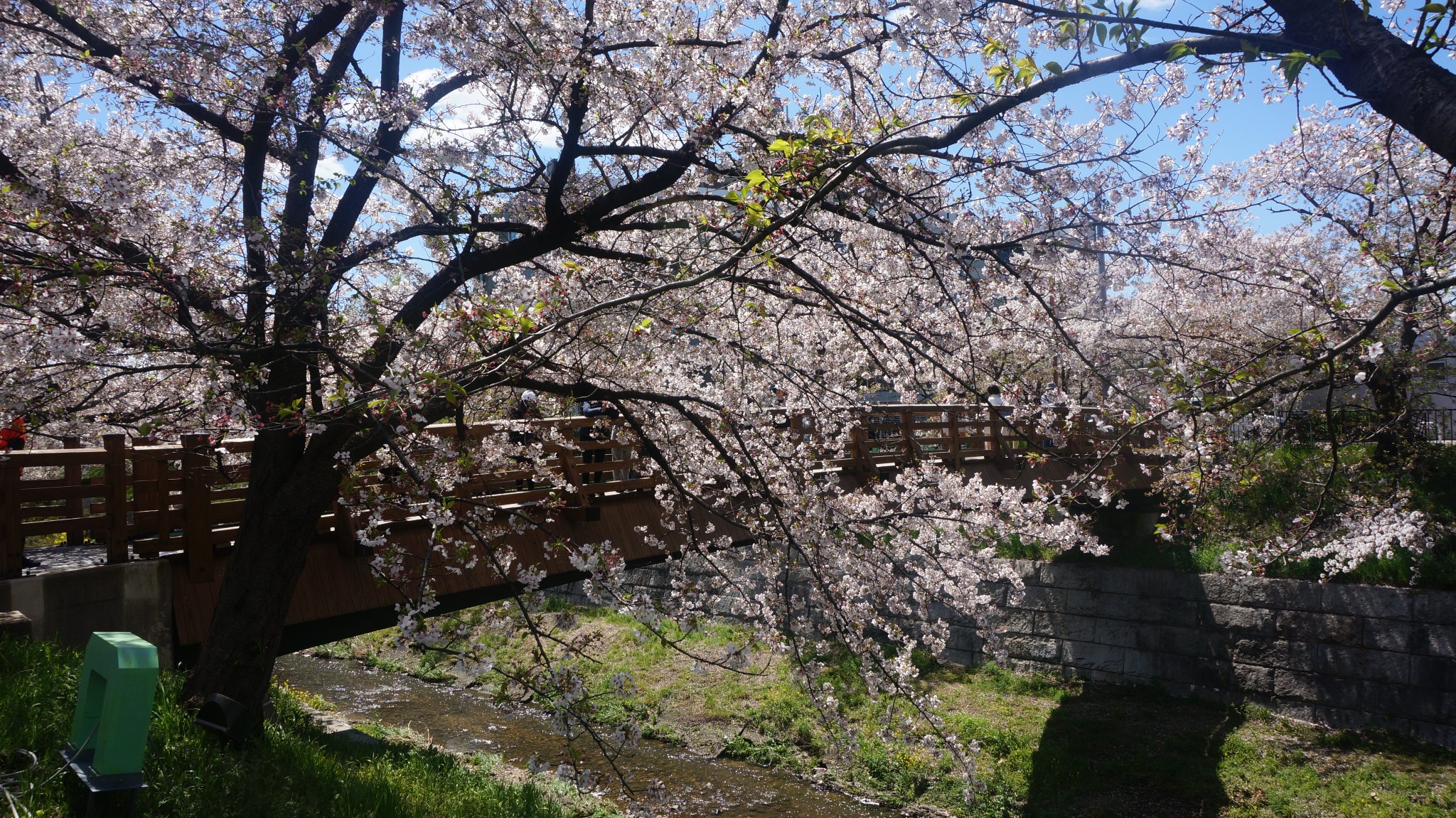 名古屋自助遊攻略