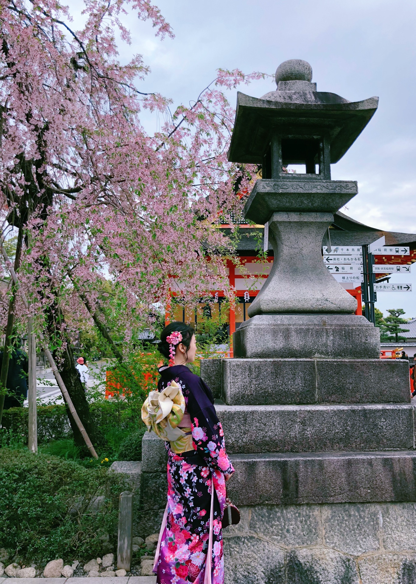 京都自助遊攻略