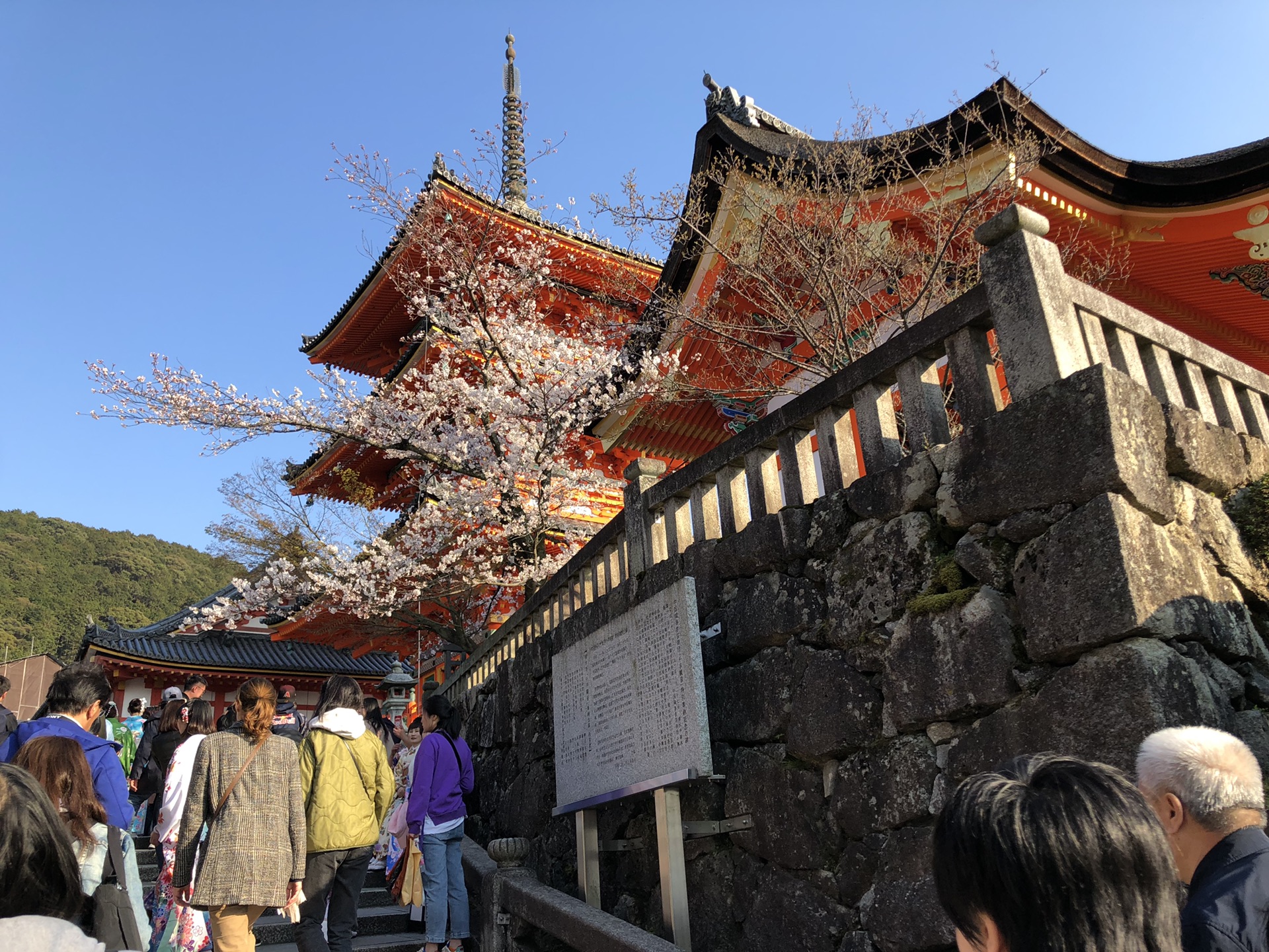 京都自助遊攻略