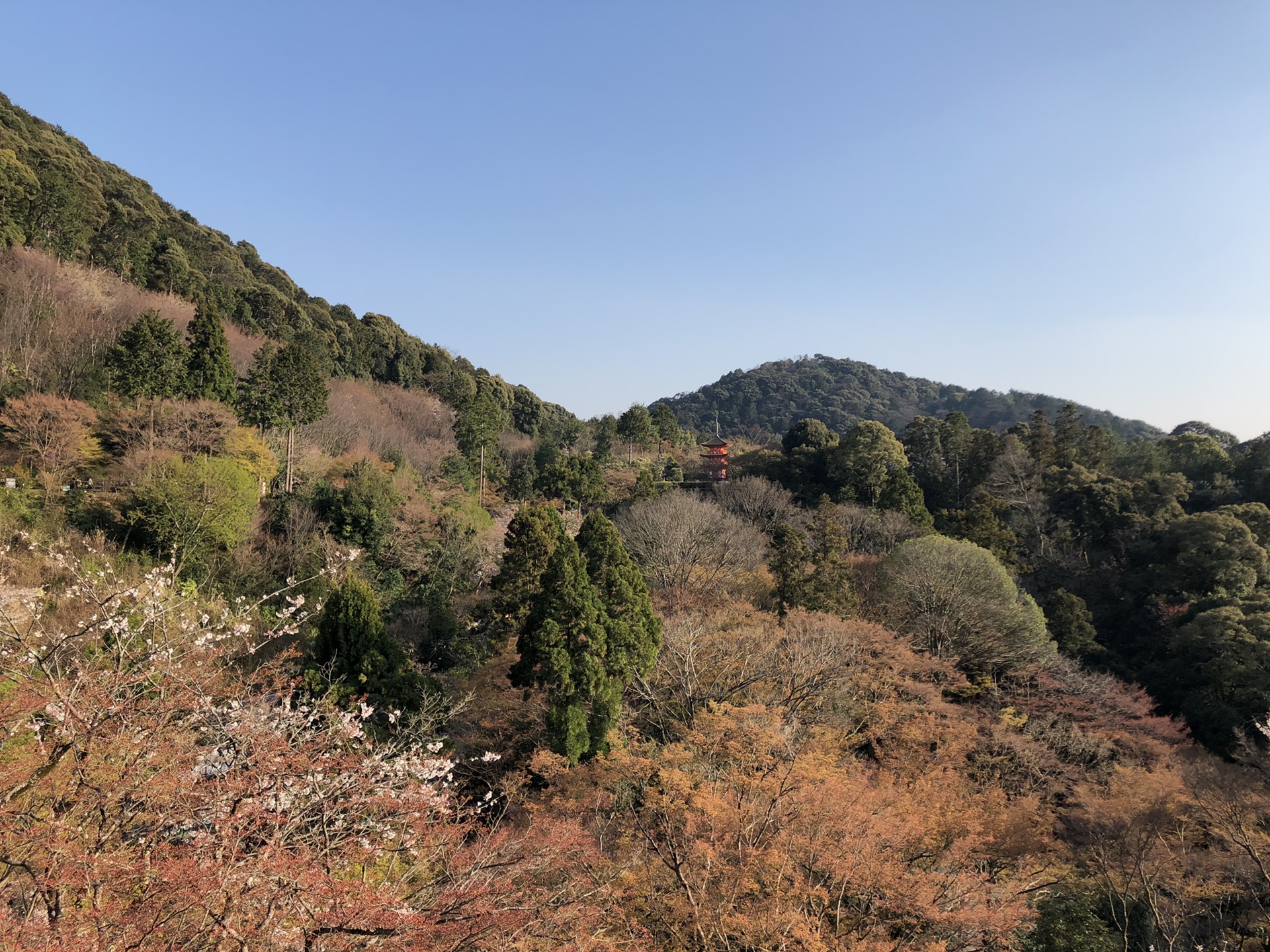 京都自助遊攻略