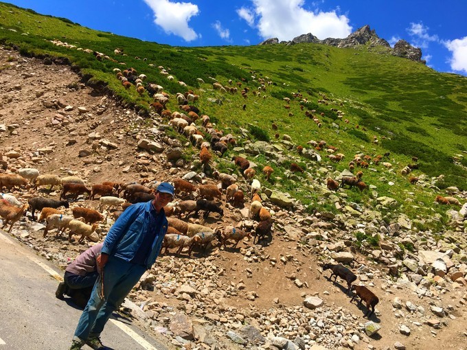 wKgEaVzlHvqAU5XzAAK6q7D6YU0712.png?imageView2%2F2%2Fw%2F680%2Fq%2F90%7CimageMogr2%2Fstrip%2Fquality%2F90