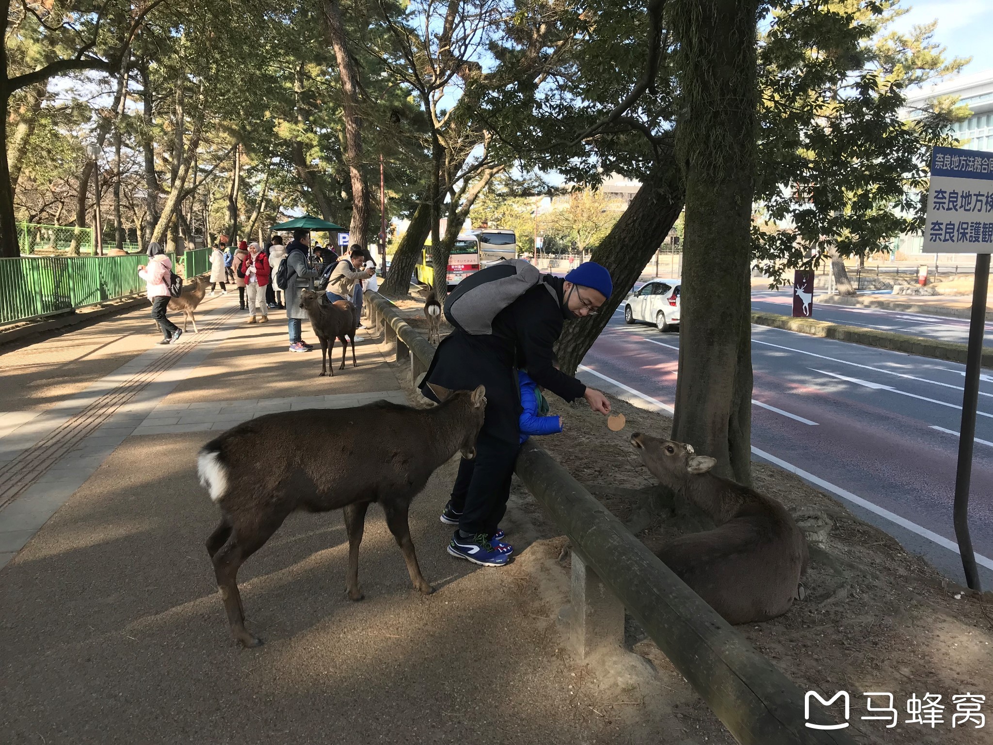 大阪自助遊攻略