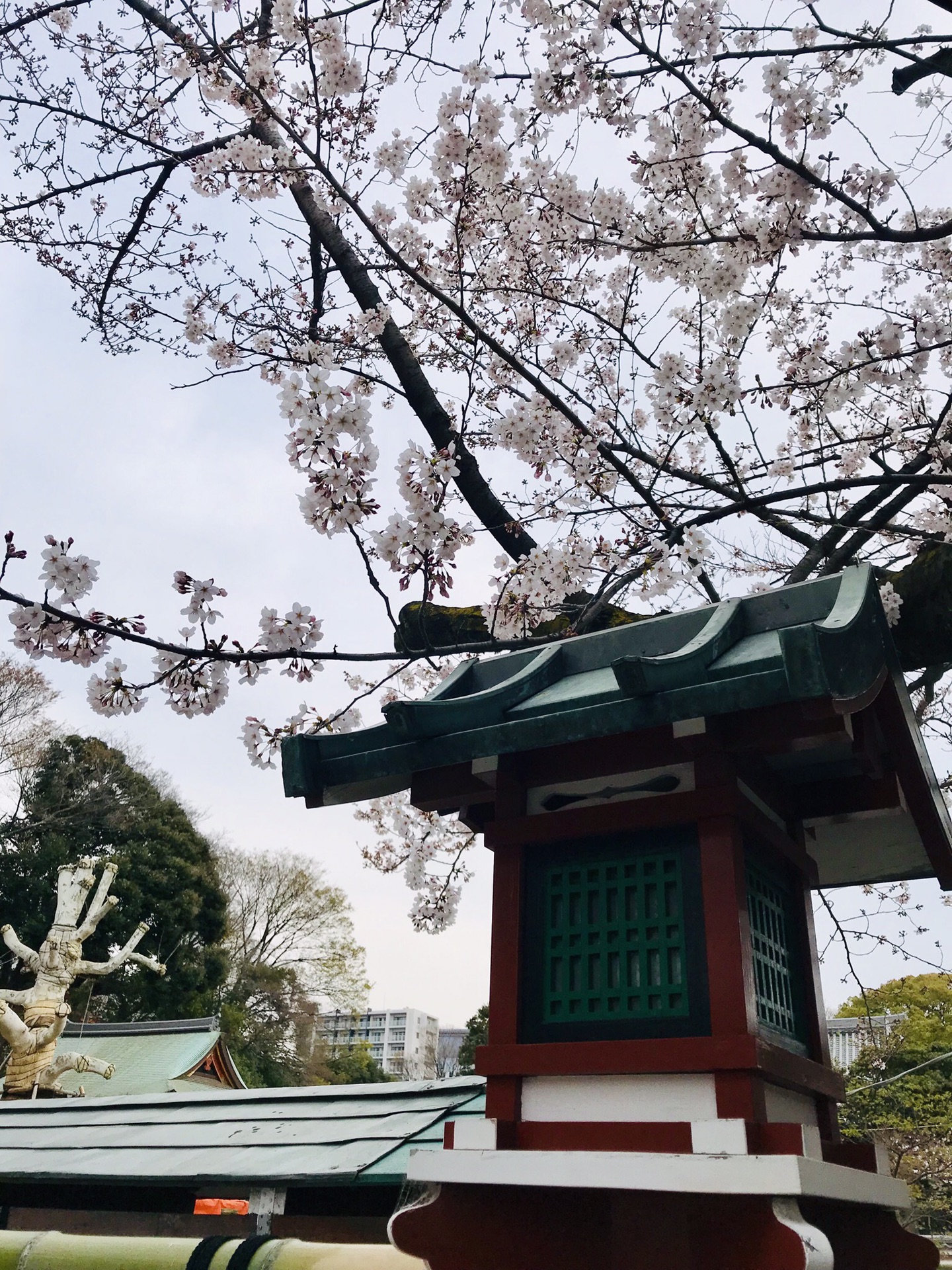 東京自助遊攻略