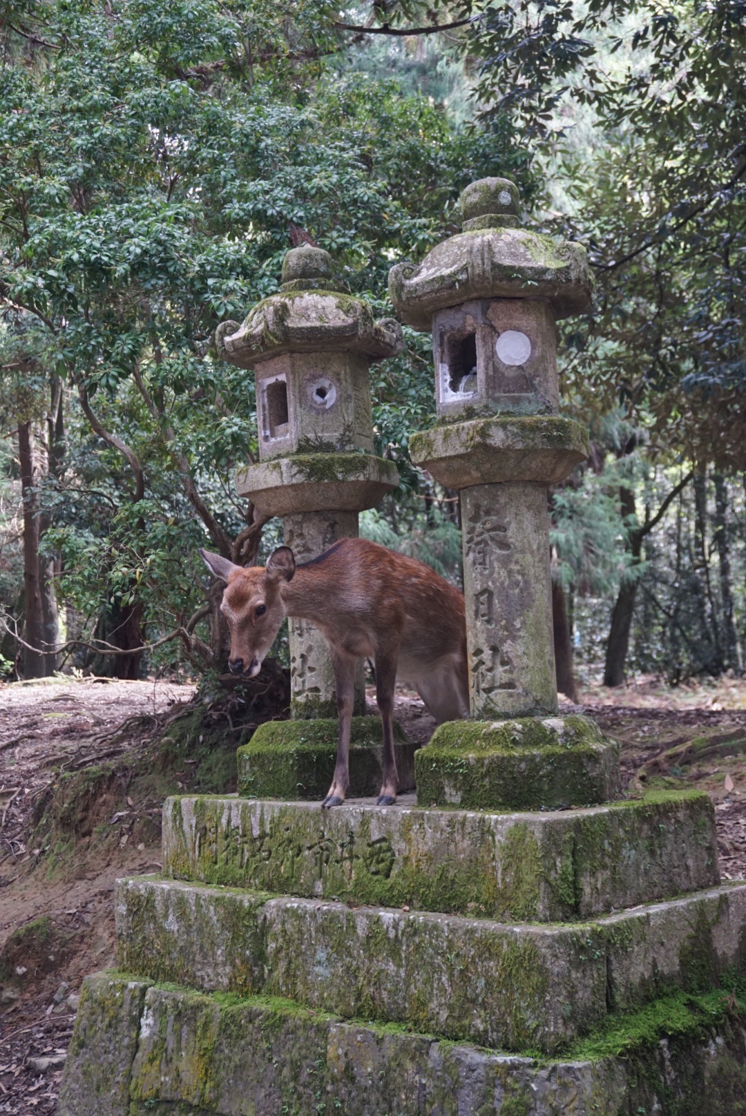 大阪自助遊攻略