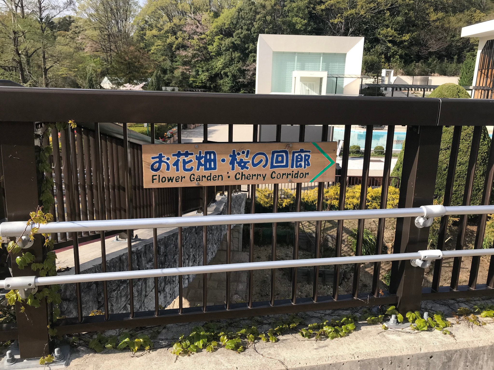 名古屋自助遊攻略