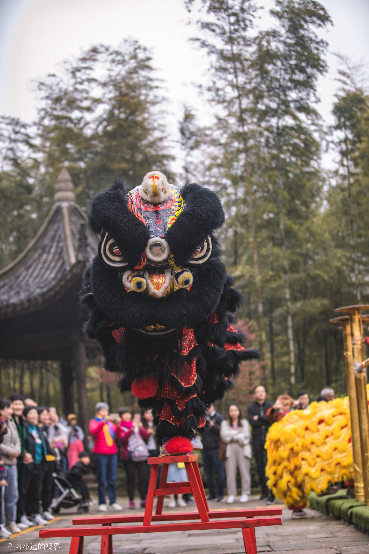    舞狮表演场次安排