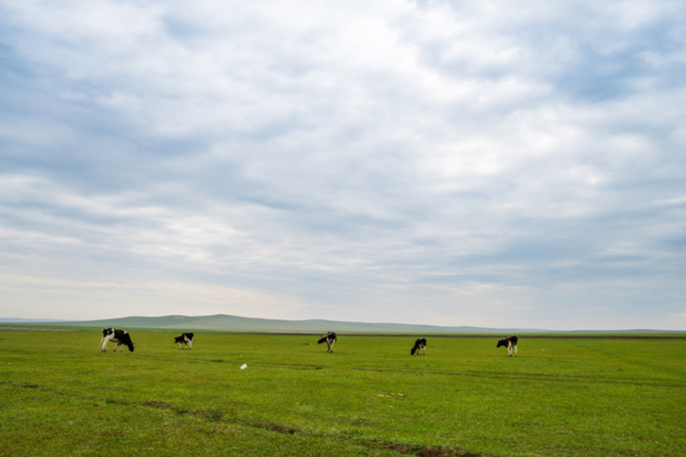 wKgEaVx_t6-ACd-mAAKROgaaINM32.jpeg?imageView2%2F2%2Fw%2F680%2Fq%2F90%7CimageMogr2%2Fstrip%2Fquality%2F90