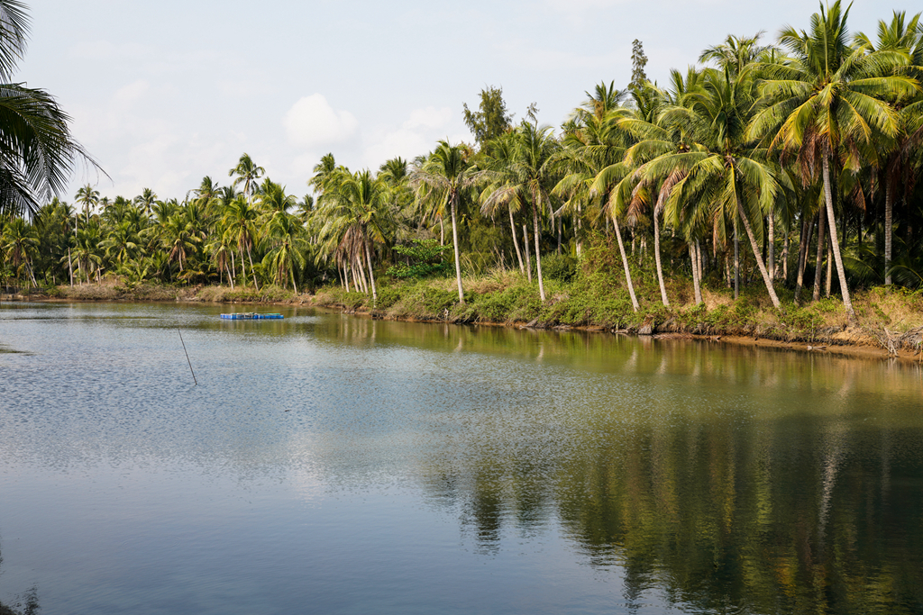 天涯海角到椰子洲岛,我眼中的三亚