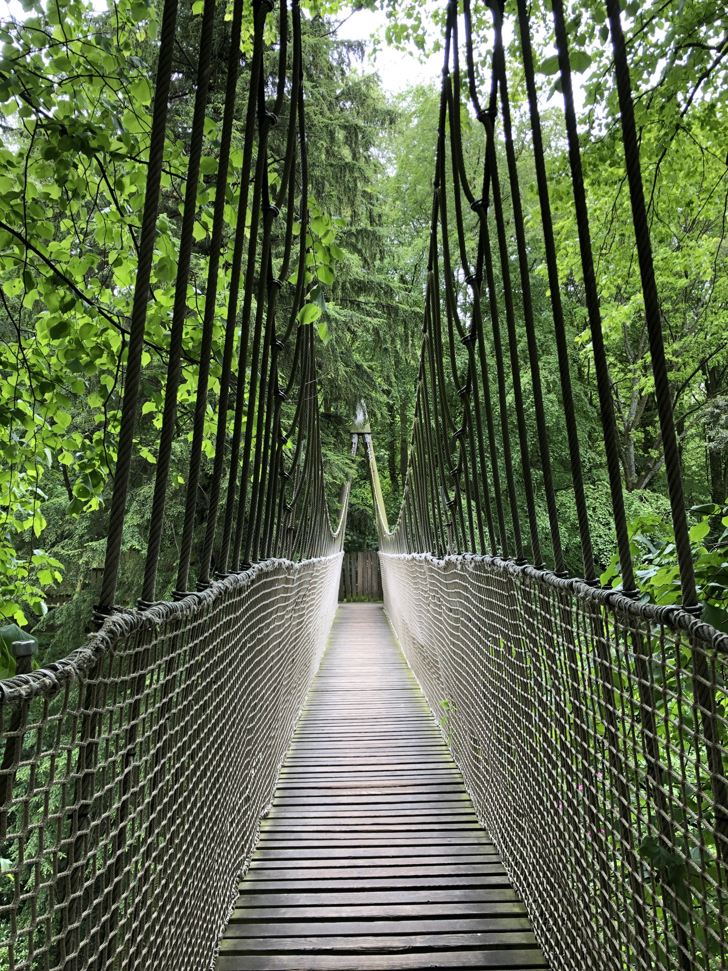 英國自助遊攻略