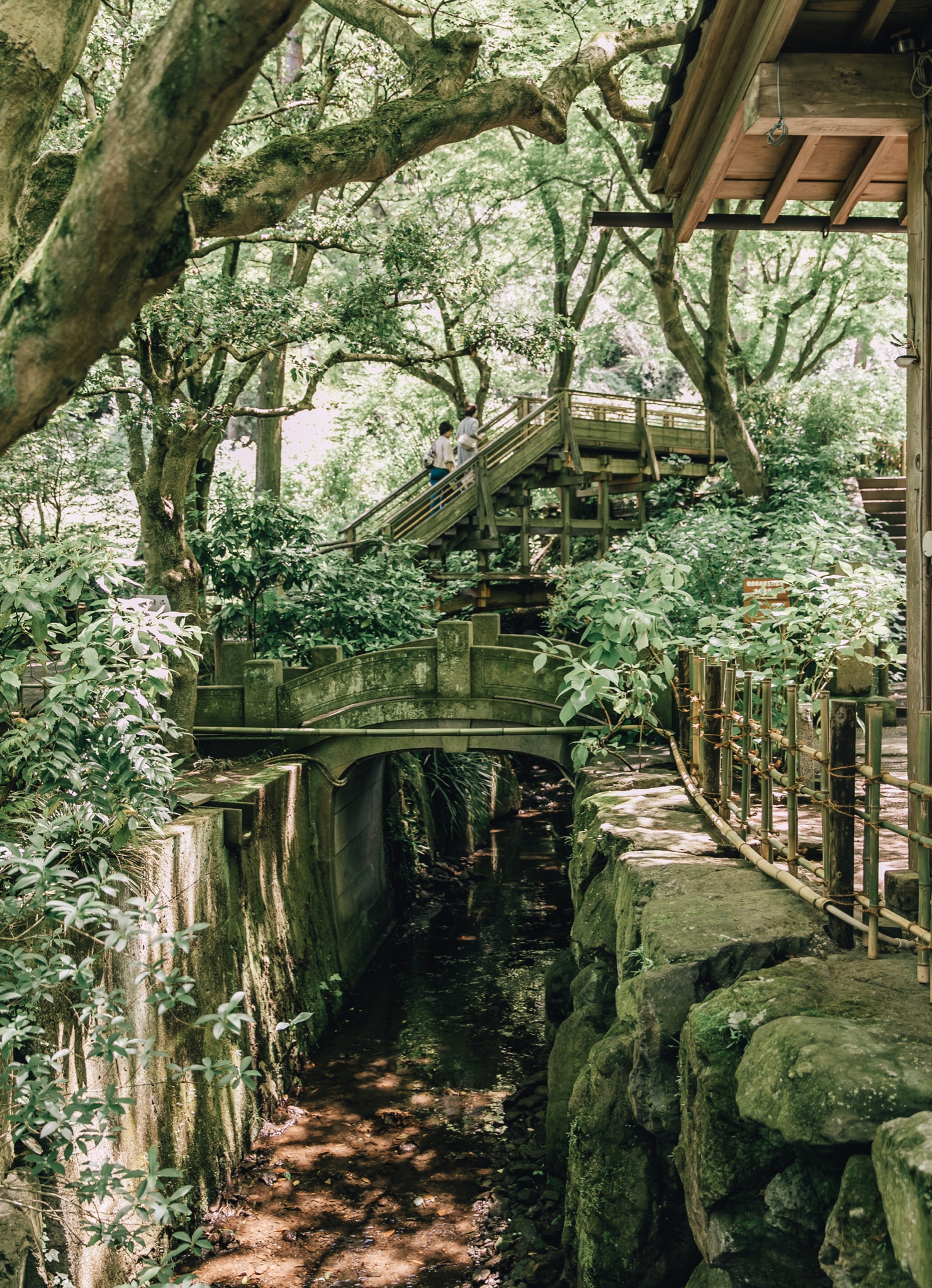 東京自助遊攻略