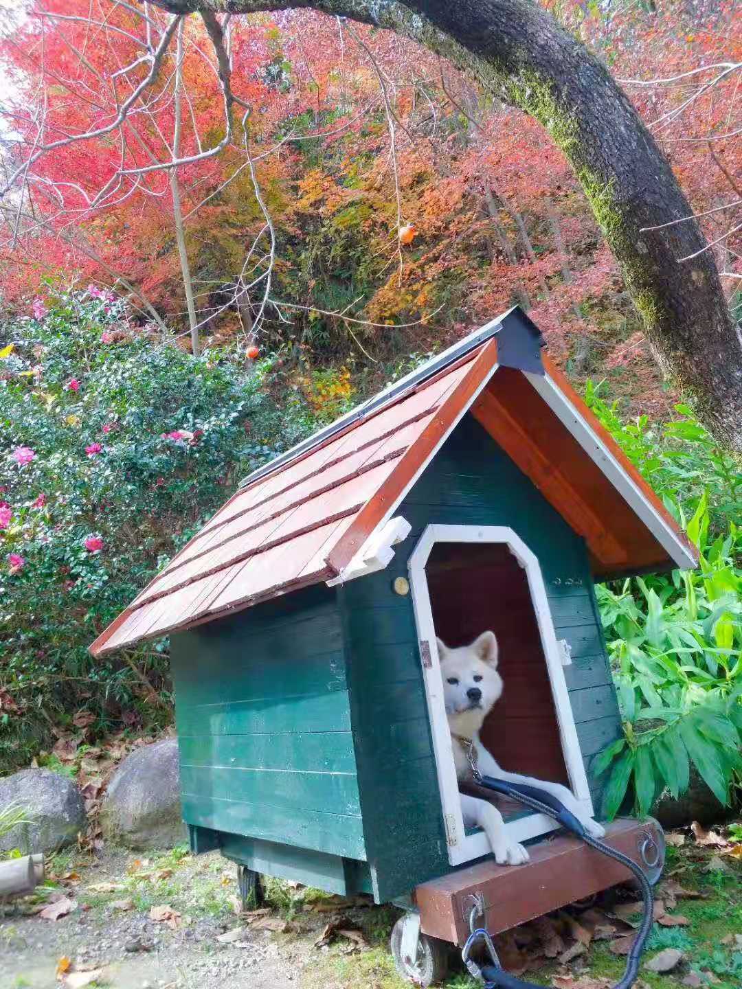 名古屋自助遊攻略