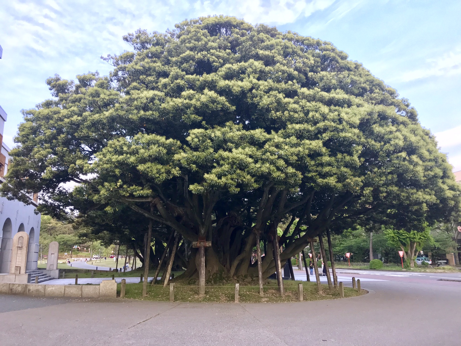 名古屋自助遊攻略