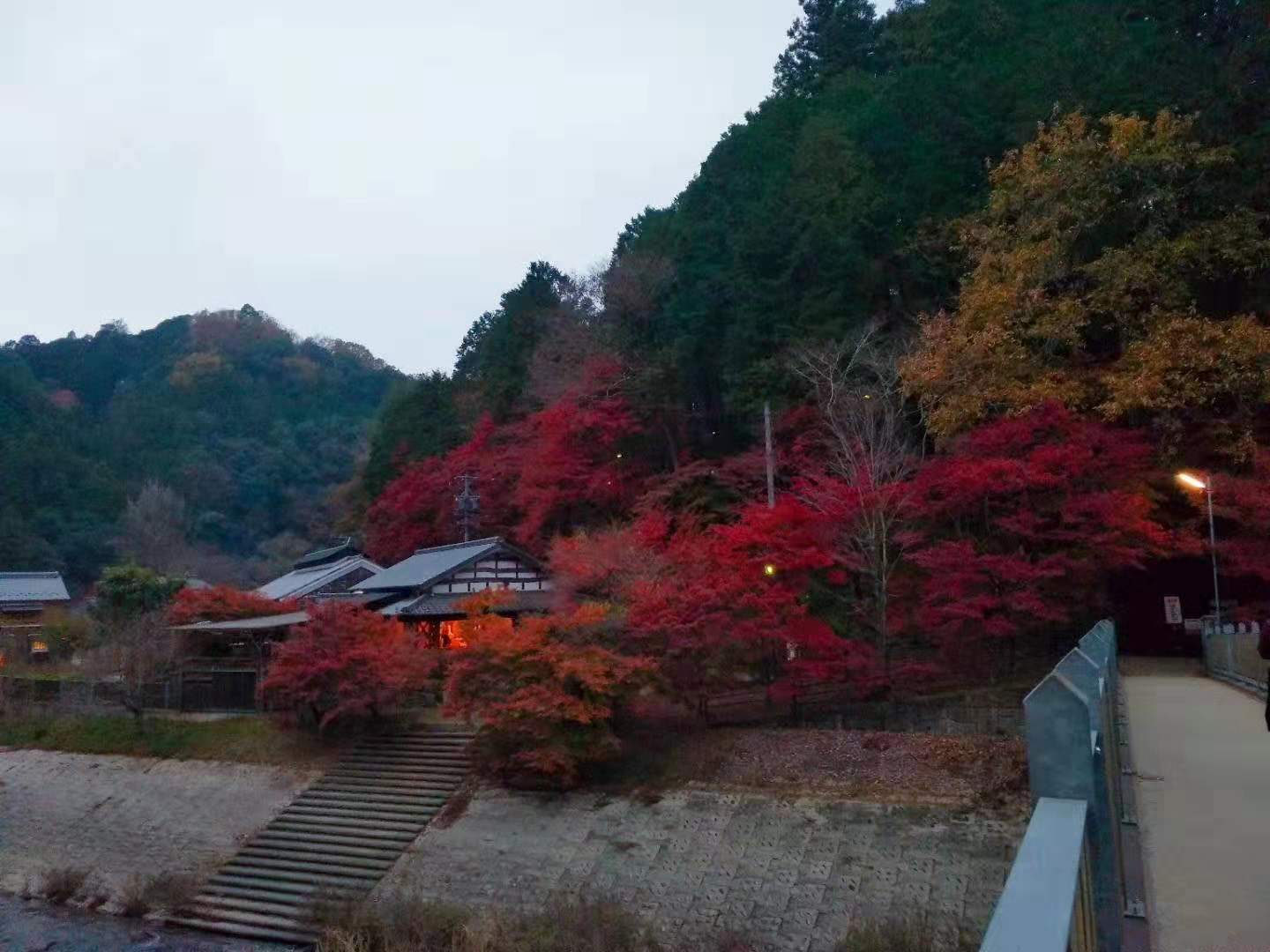 名古屋自助遊攻略