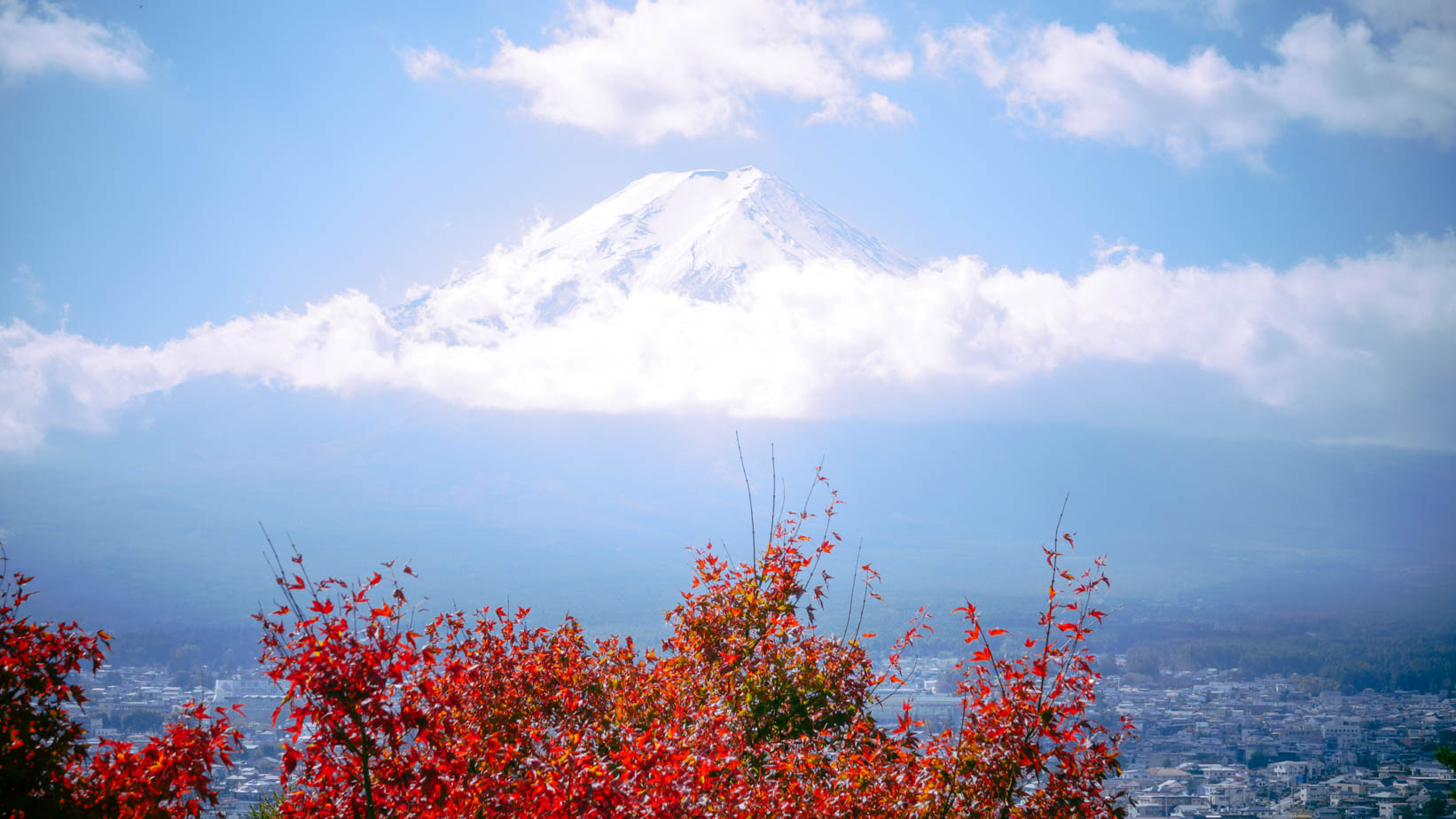 富士山自助遊攻略