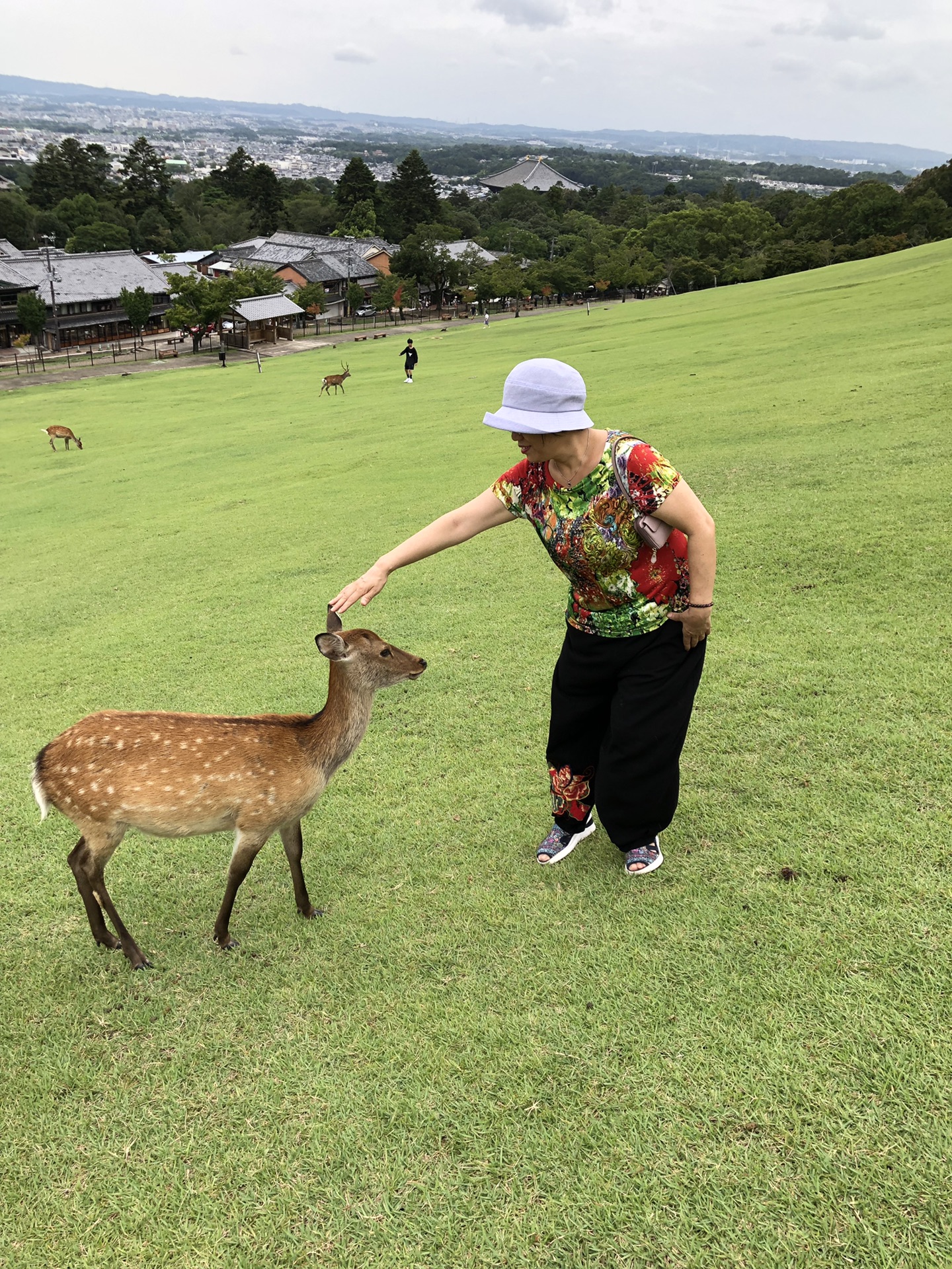 日本自助遊攻略