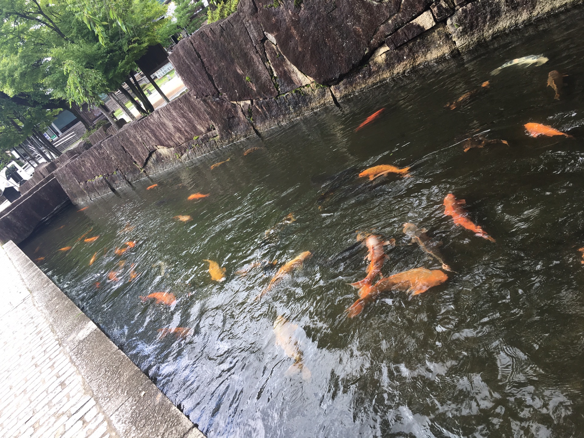 名古屋自助遊攻略