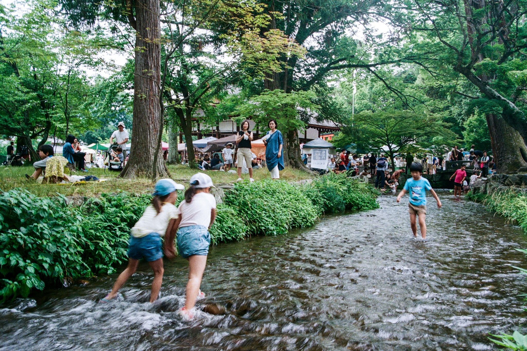 京都自助遊攻略