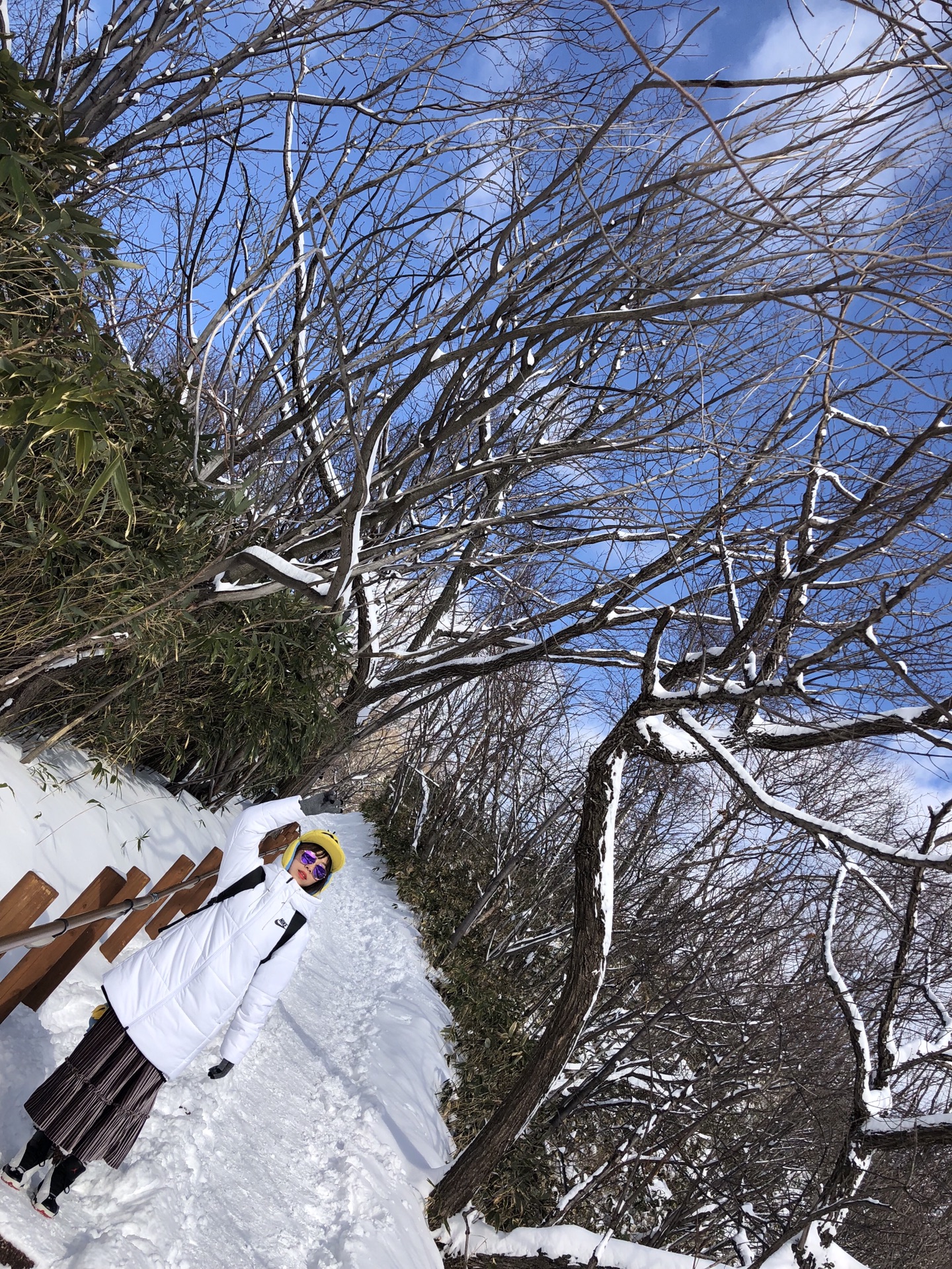 札幌自助遊攻略