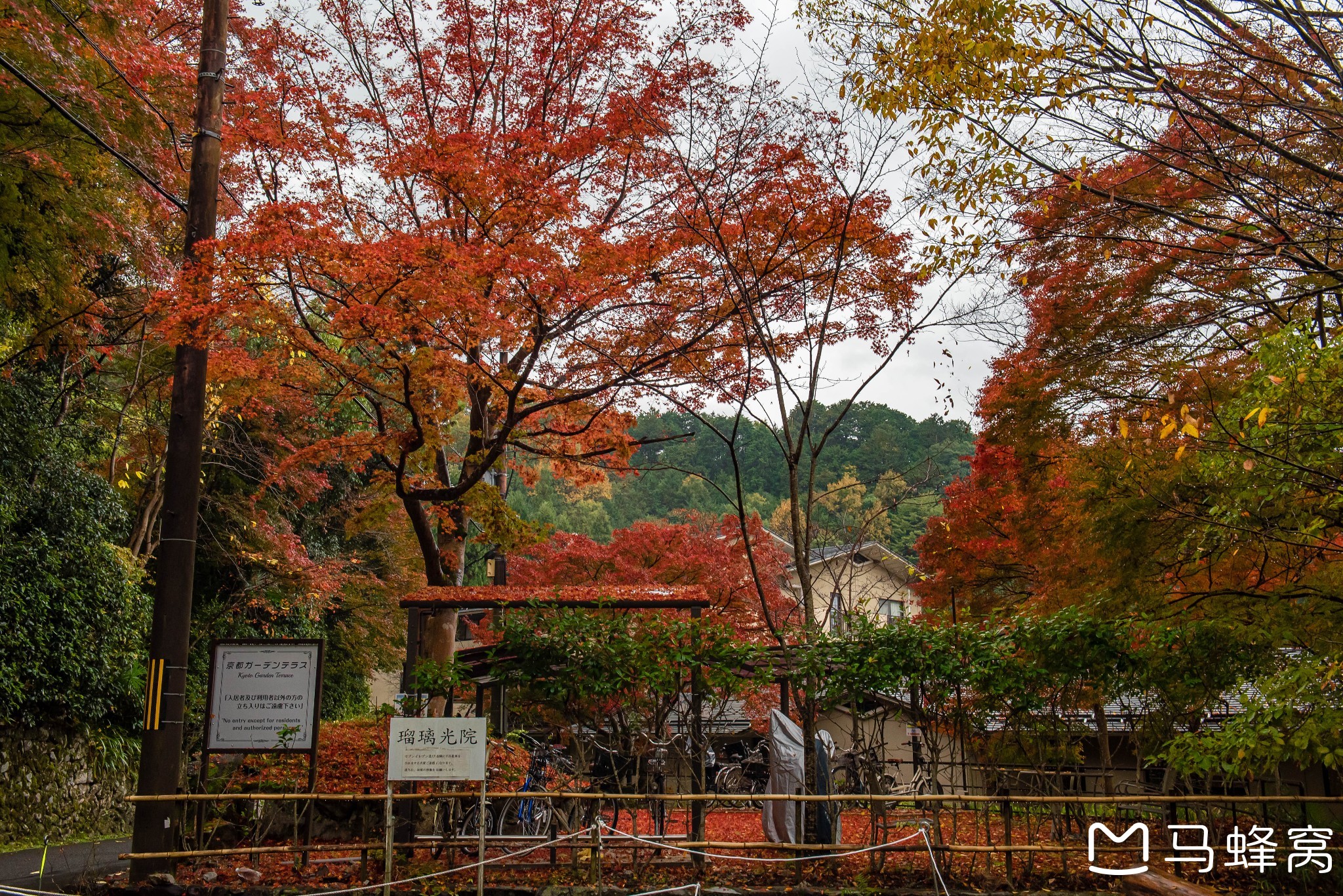 京都自助遊攻略