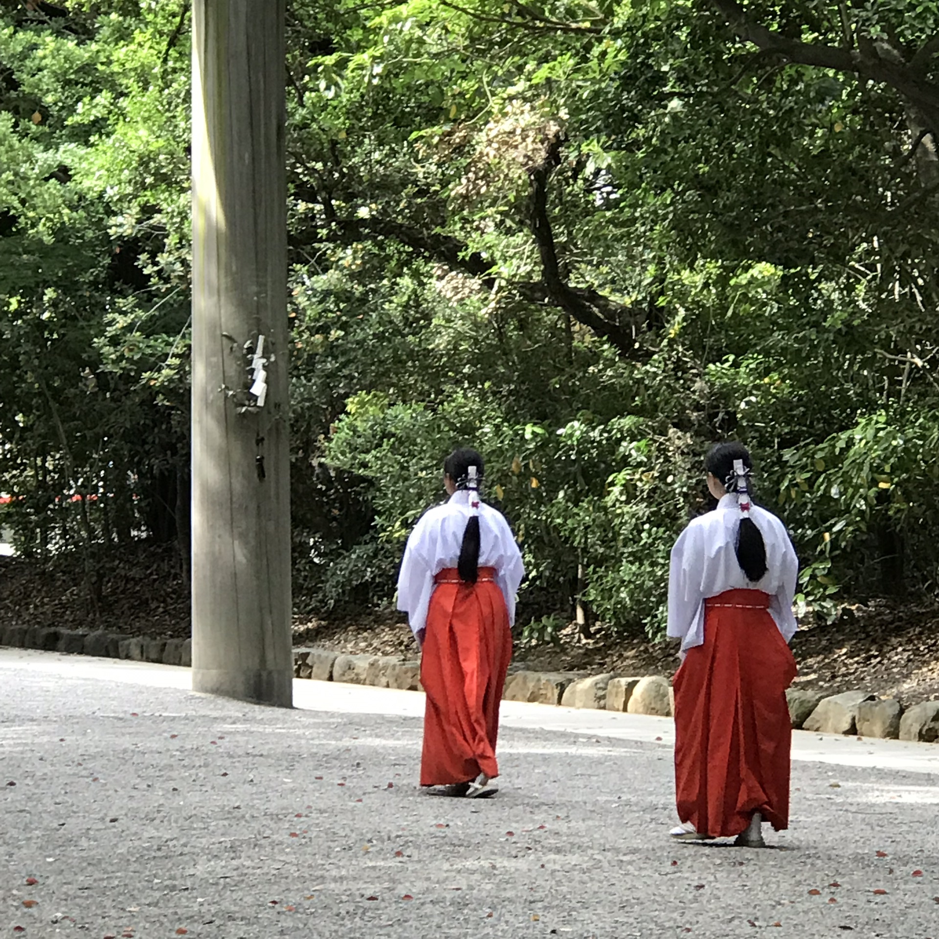 名古屋自助遊攻略