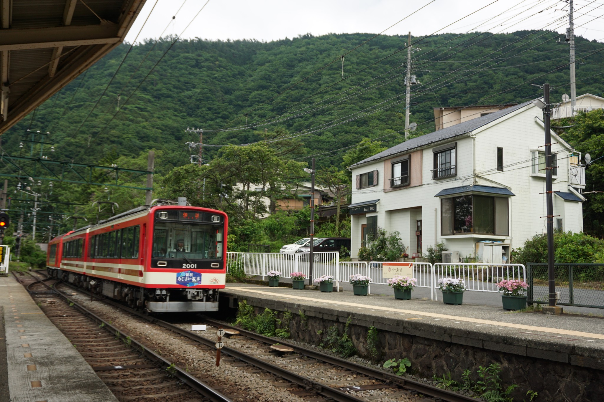 東京自助遊攻略