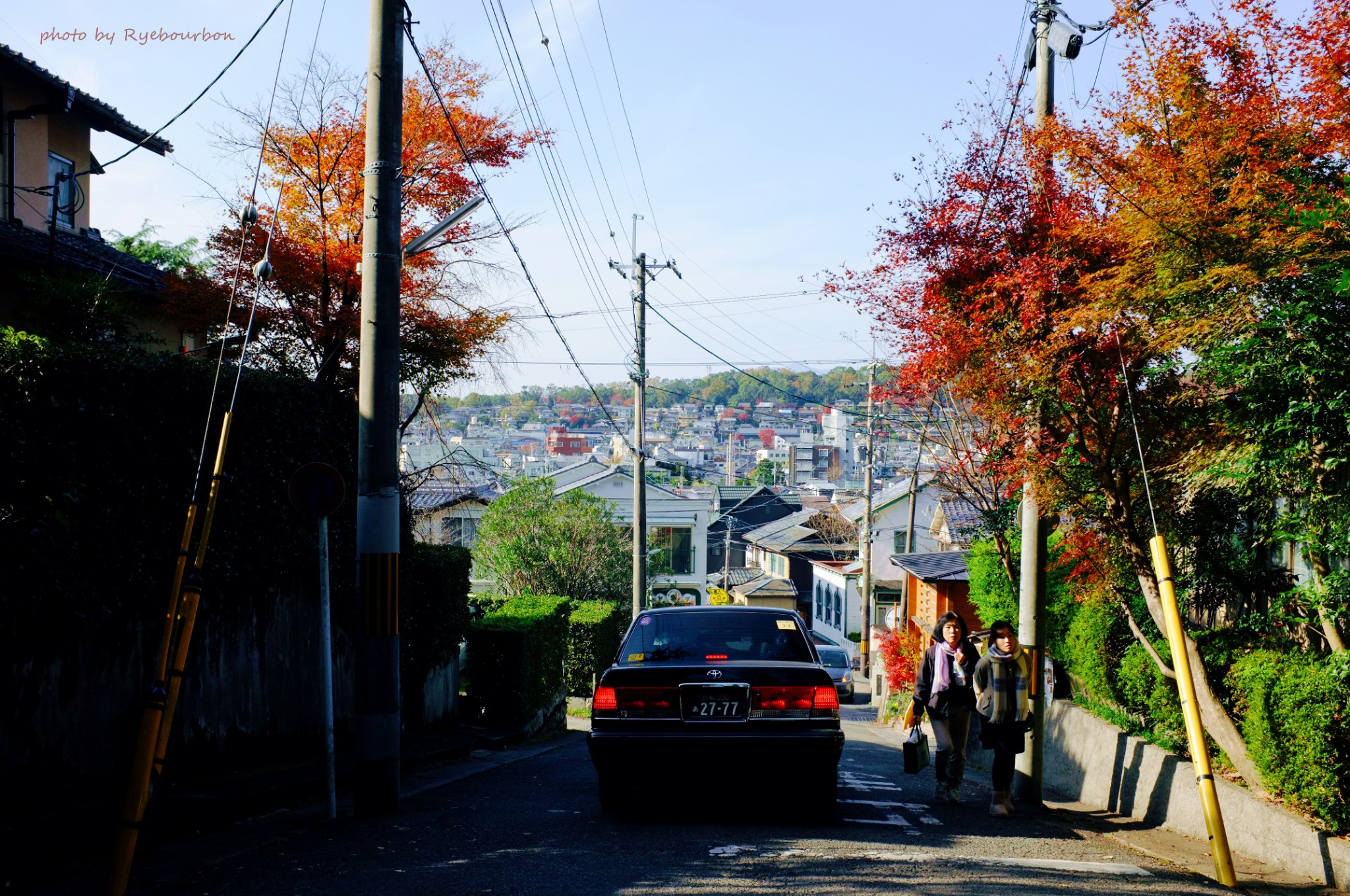 京都自助遊攻略