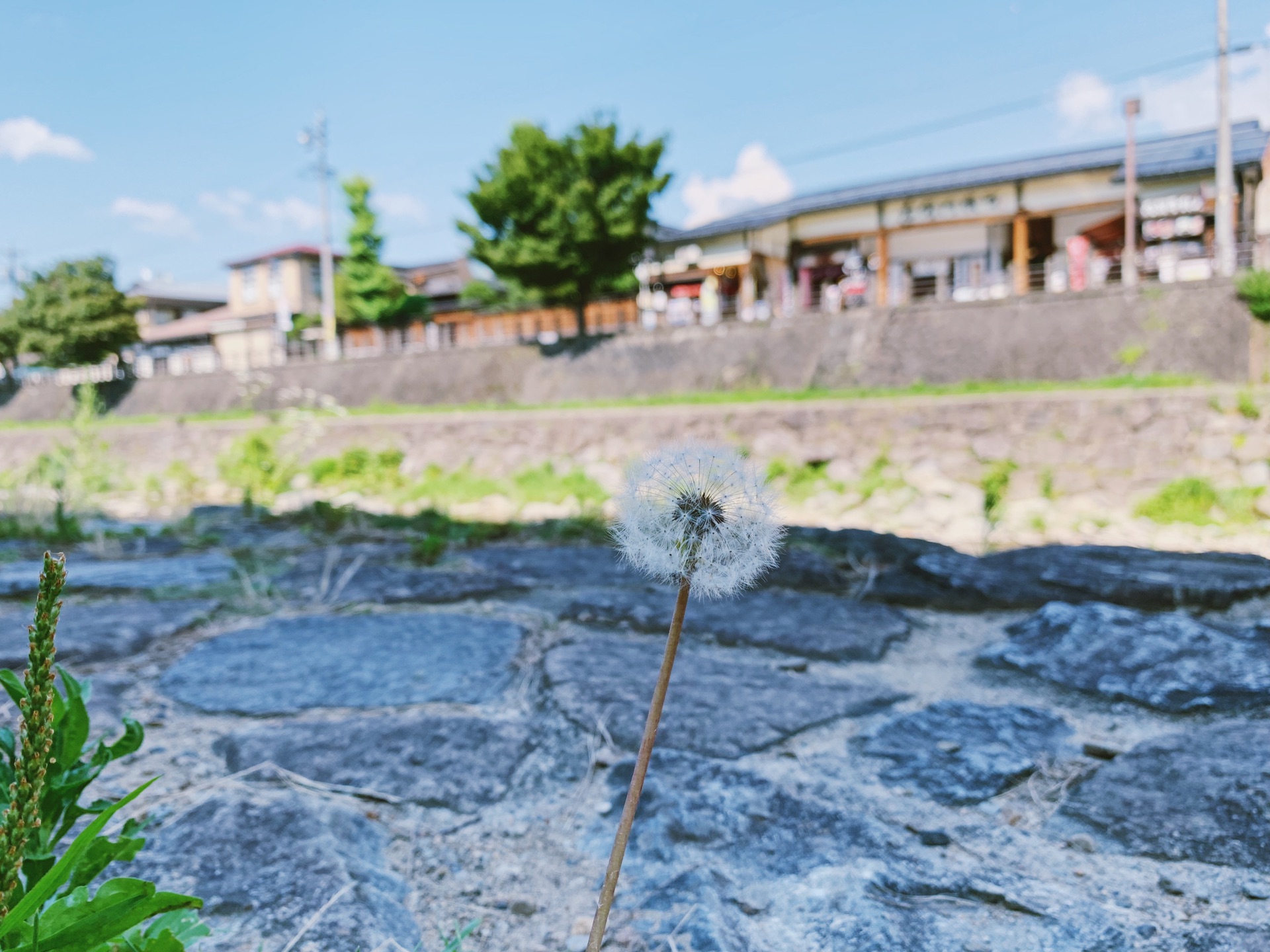 名古屋自助遊攻略