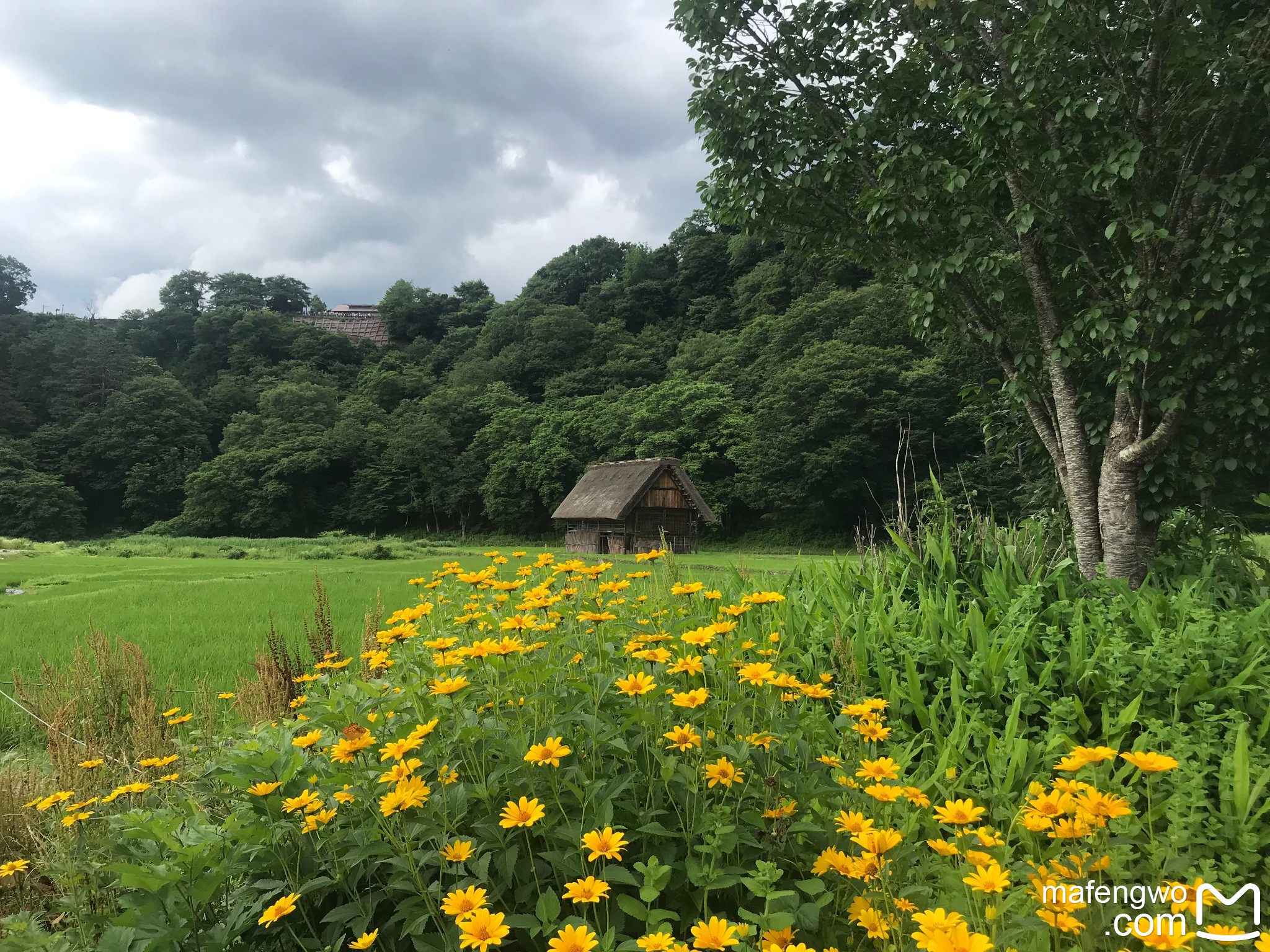 名古屋自助遊攻略