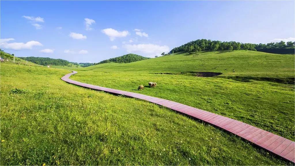 陝西寶雞關山草原2日遊(西安出發 門票 往返空調旅遊大巴 景區內住宿