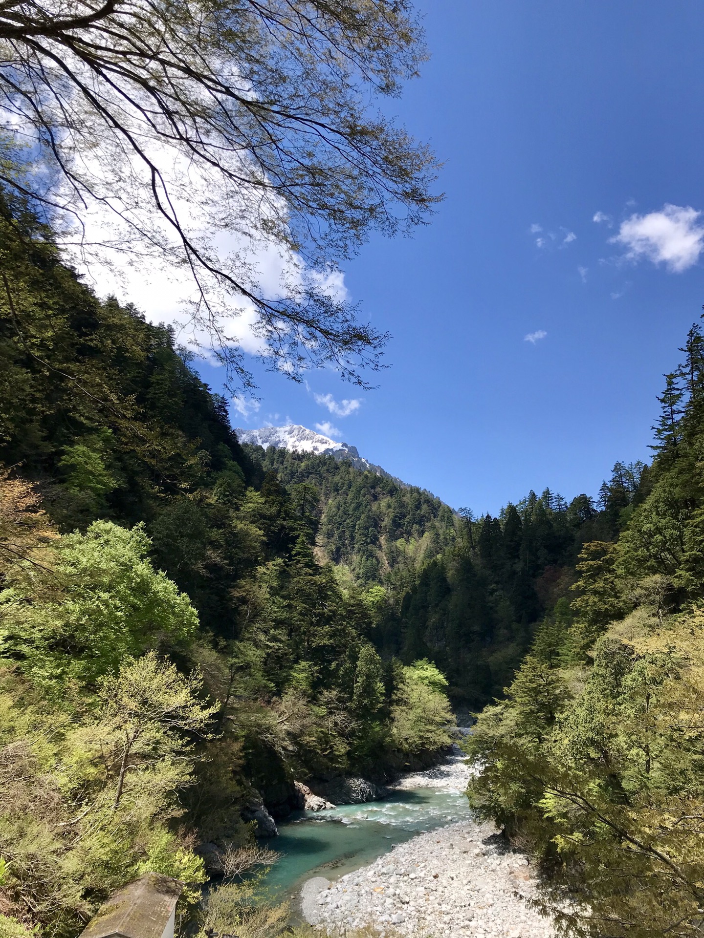 名古屋自助遊攻略