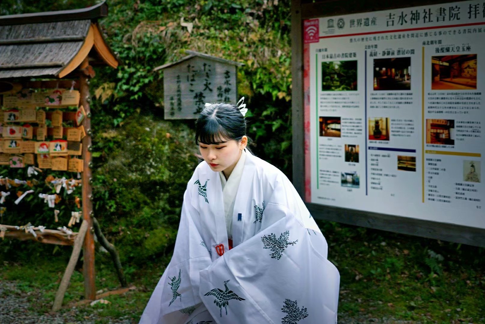 京都自助遊攻略