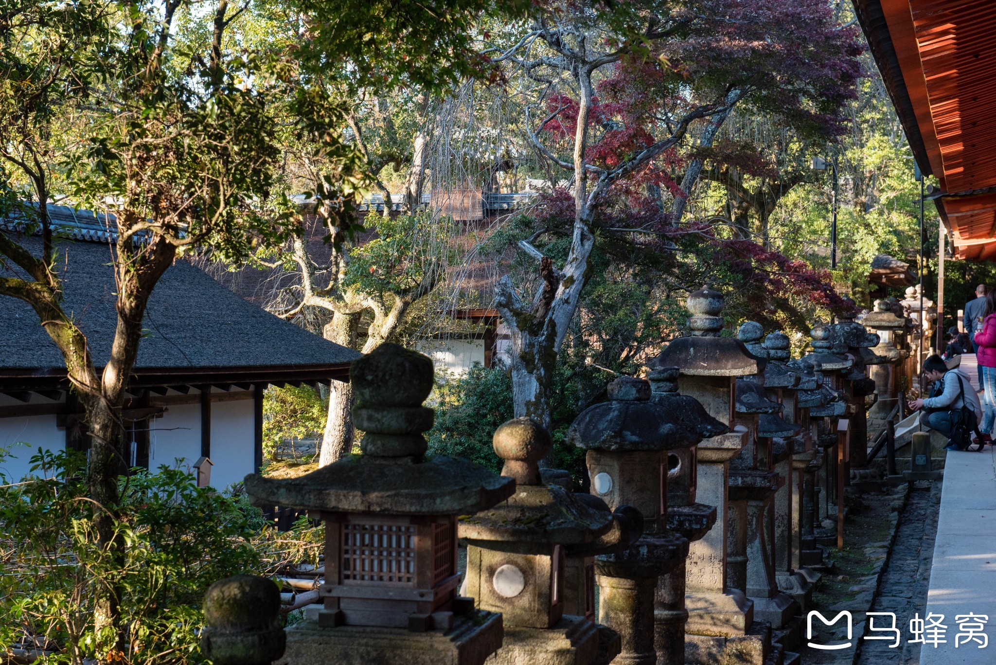 京都自助遊攻略