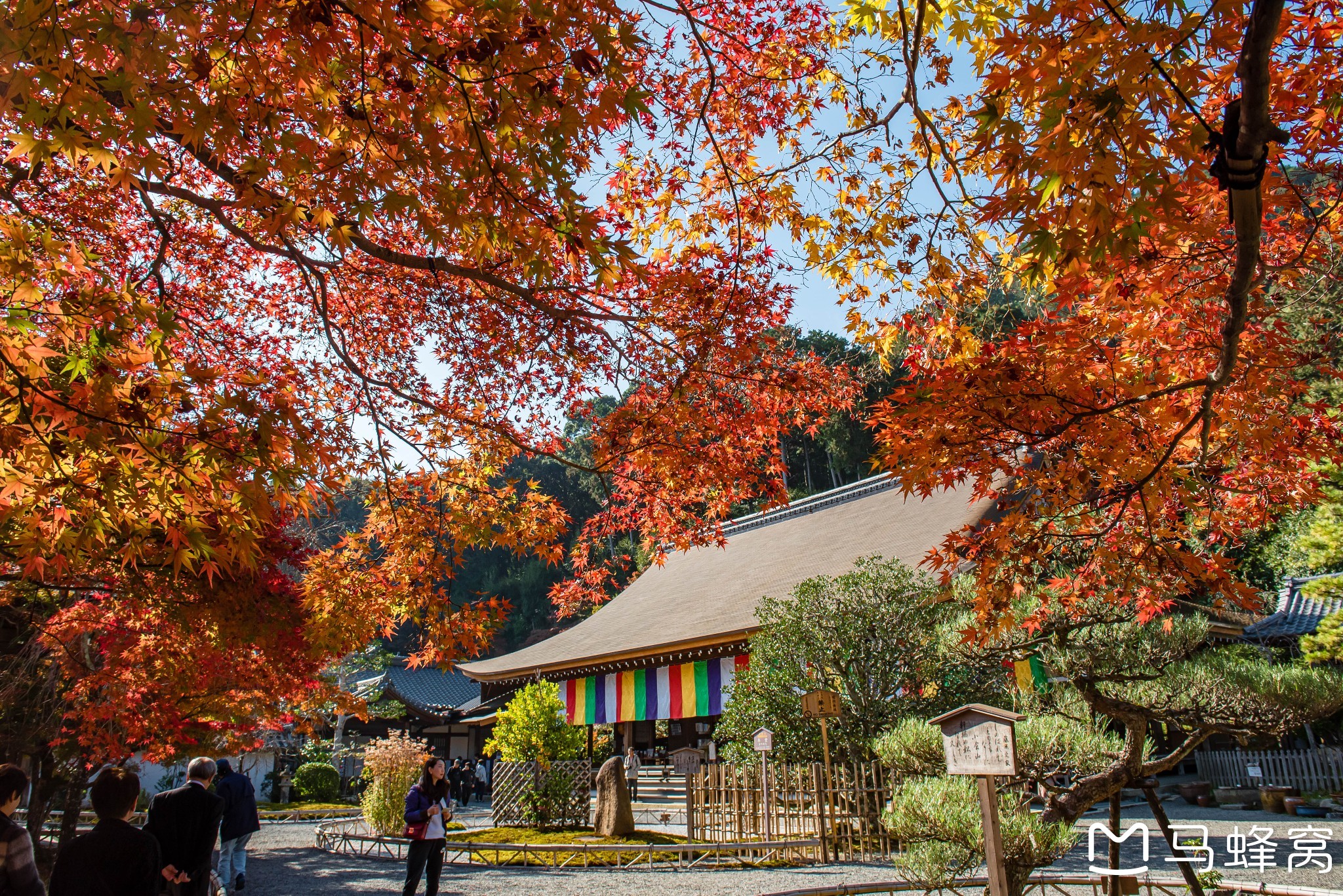 京都自助遊攻略