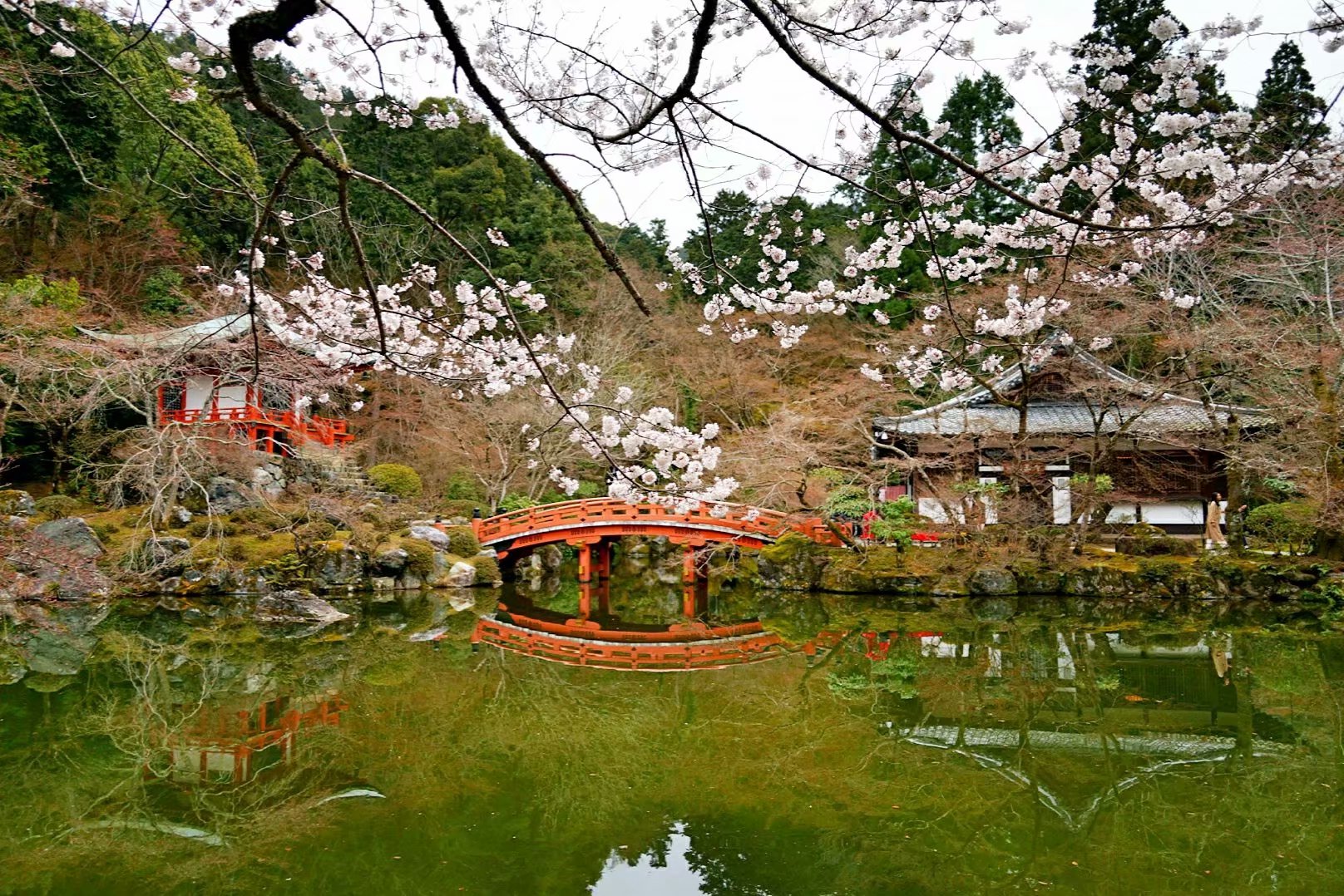 京都自助遊攻略