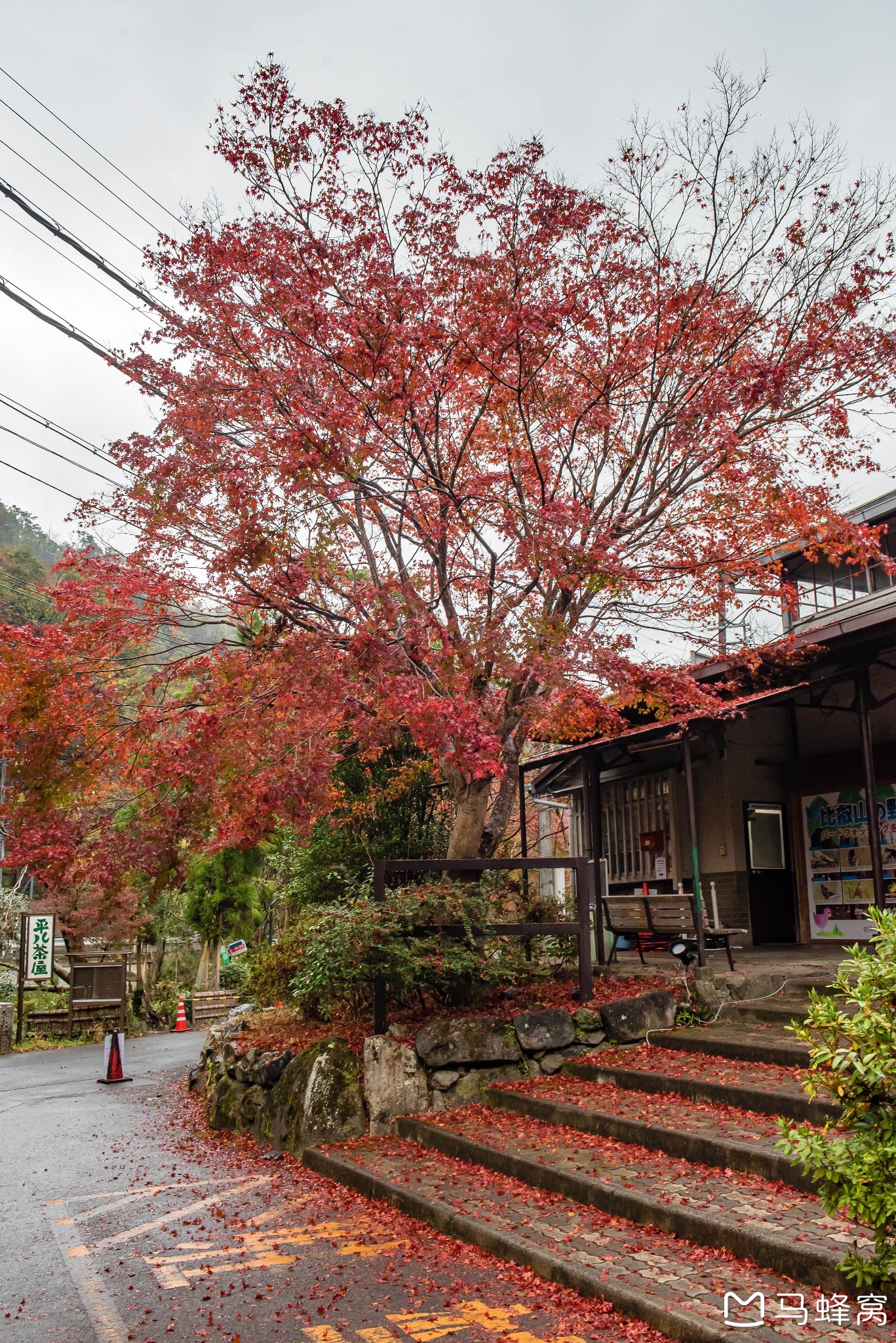 京都自助遊攻略