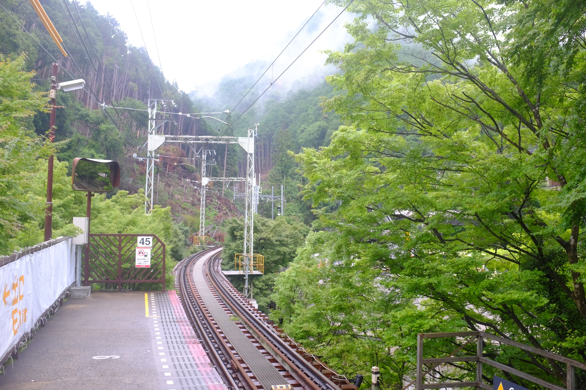 京都自助遊攻略