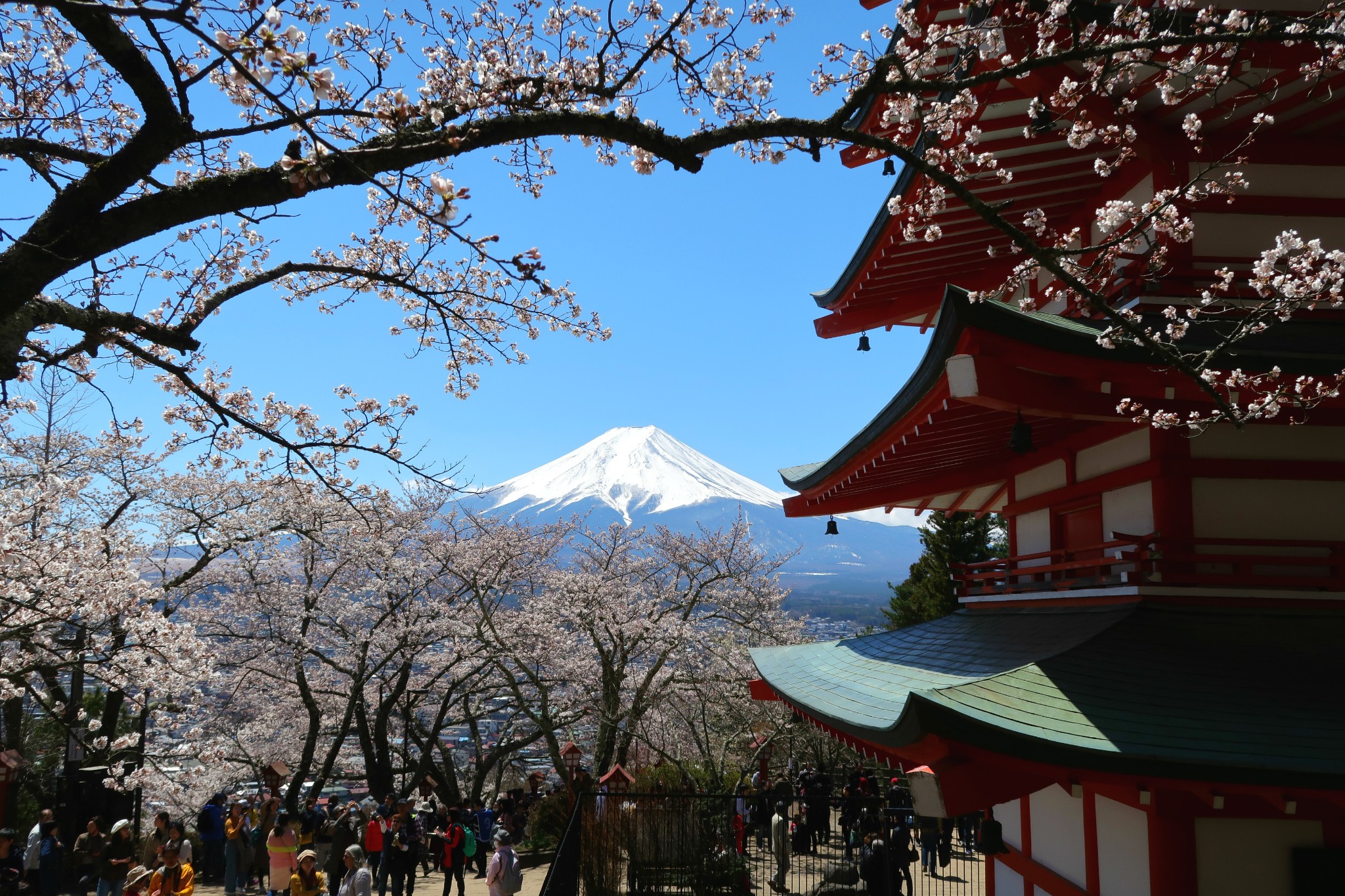 富士山自助遊攻略