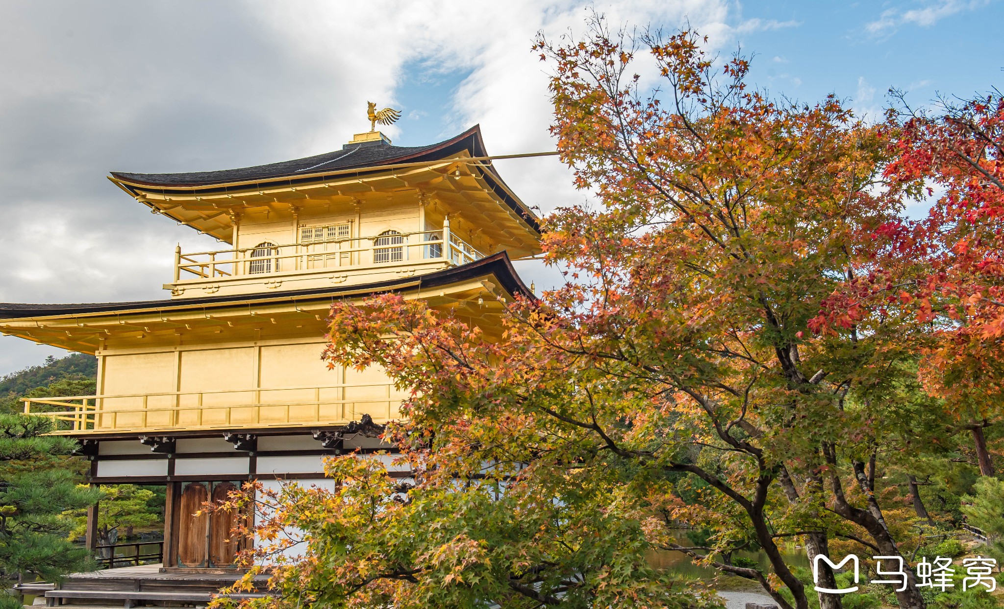 京都自助遊攻略