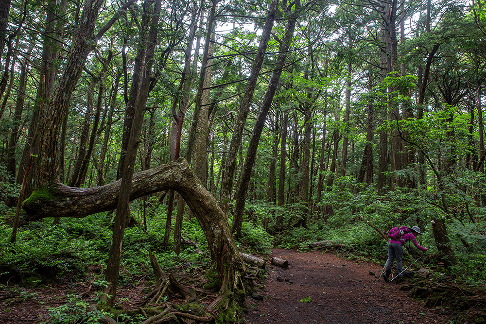 富士山自助遊攻略