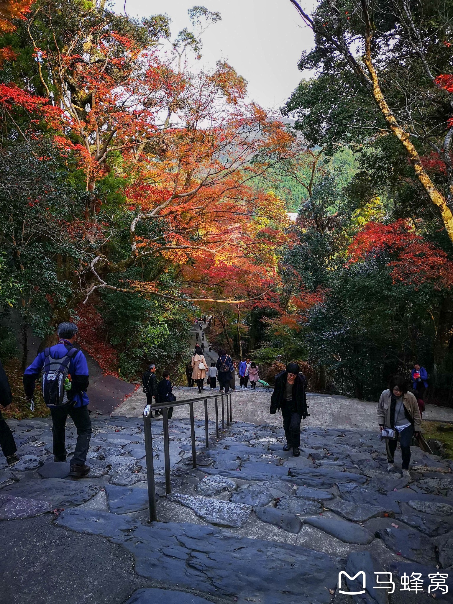 京都自助遊攻略